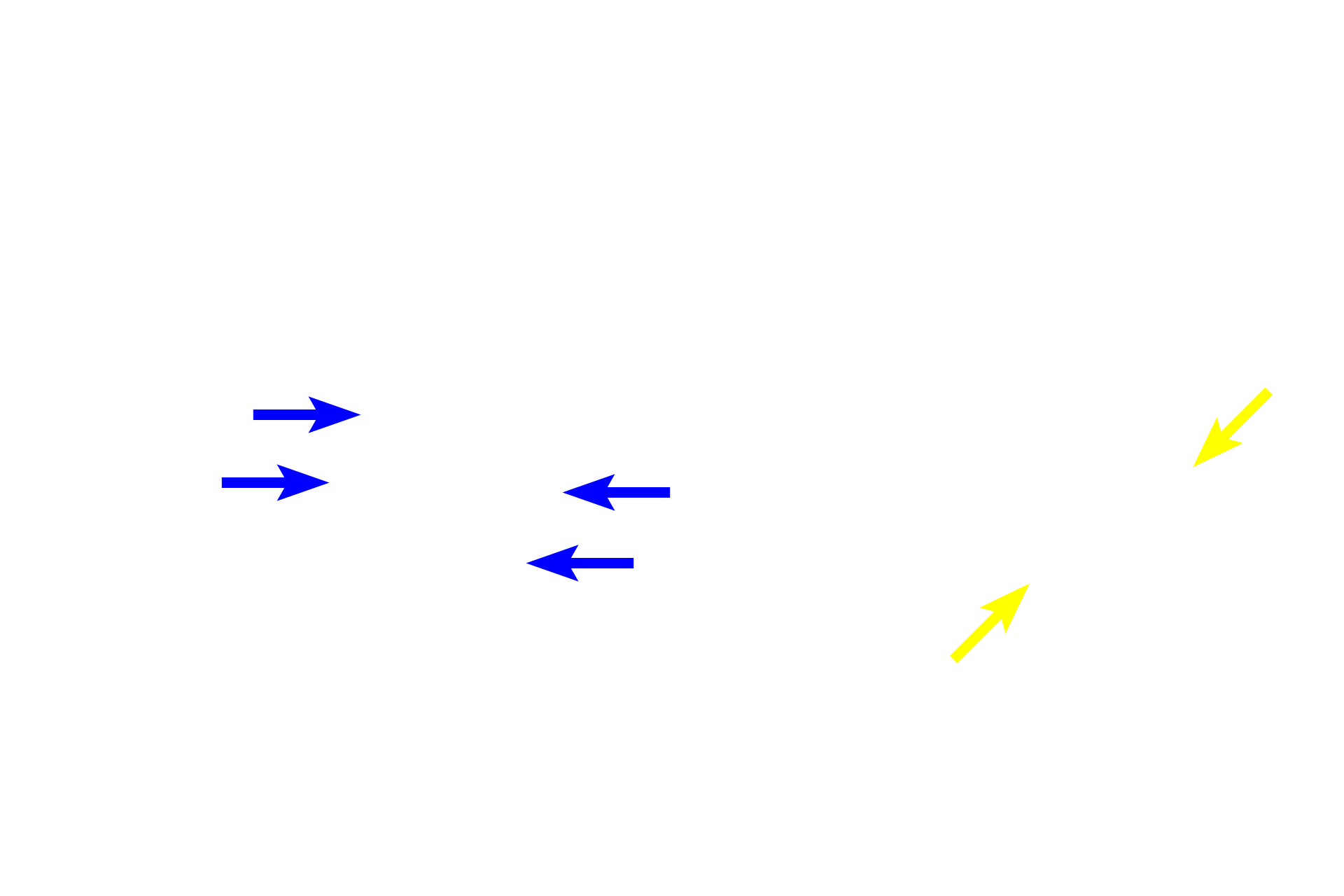 Chromosomes > <p>Sister chromatids are separated from each other following the breakdown of cohesive proteins holding them together at the centromere.  Chromatids are then drawn to opposite poles by the pulling force of the kinetochore microtubules.  Once separated, chromatids are referred to as chromosomes.</p>
