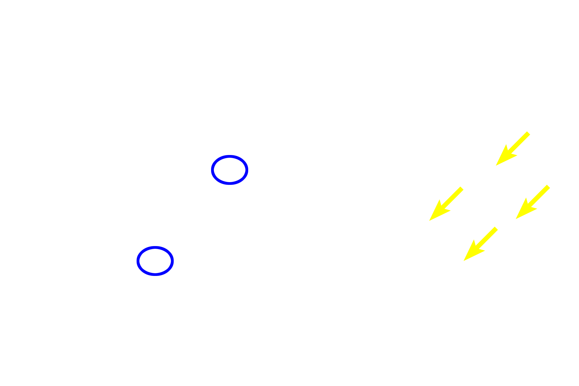 Centrosomes <p>Sister chromatids are separated from each other following the breakdown of cohesive proteins holding them together at the centromere.  Chromatids are then drawn to opposite poles by the pulling force of the kinetochore microtubules.  Once separated, chromatids are referred to as chromosomes.</p>
