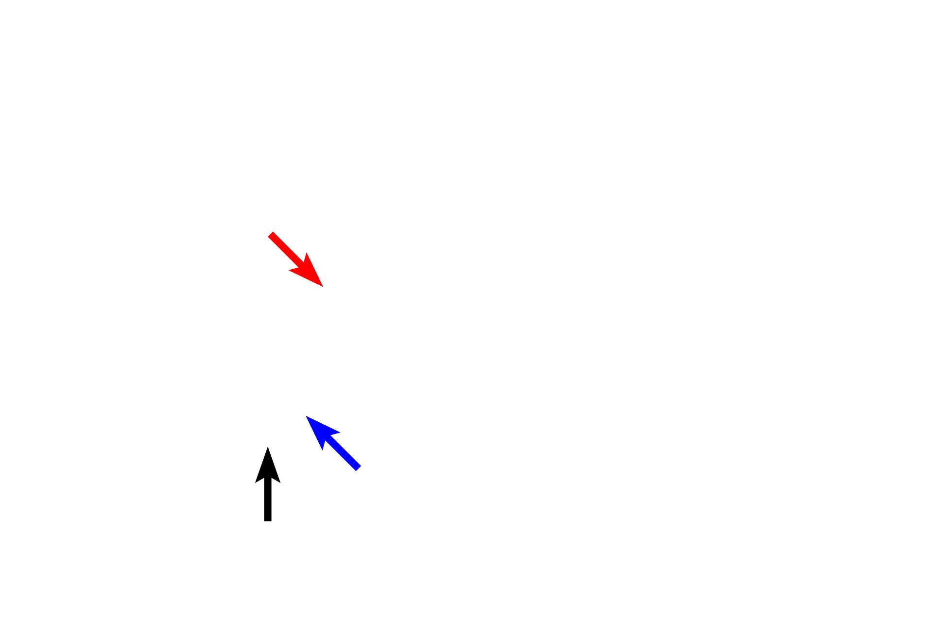 Mitotic spindle > <p>The mitotic spindle consists of two types of microtubules.  Kinetochore microtubules (blue arrow) attach to chromatids, drawing them toward the spindle pole.  Non-kinetochore microtubules are of two types.  One set overlaps opposing microtubules to push the spindle poles away from the midline (red arrow); the second extends radially from the spindle apparatus (black arrow).</p>
