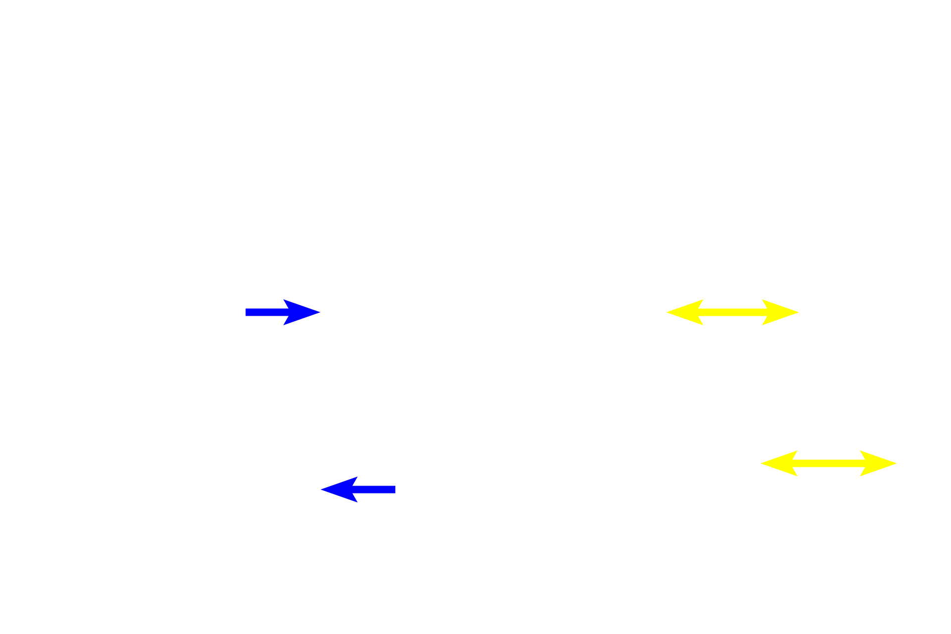 Daughter cells <p>Cytokinesis completes mitosis and results in the formation of two identical daughter cells, each with one set of paired homologous chromosomes.</p>
