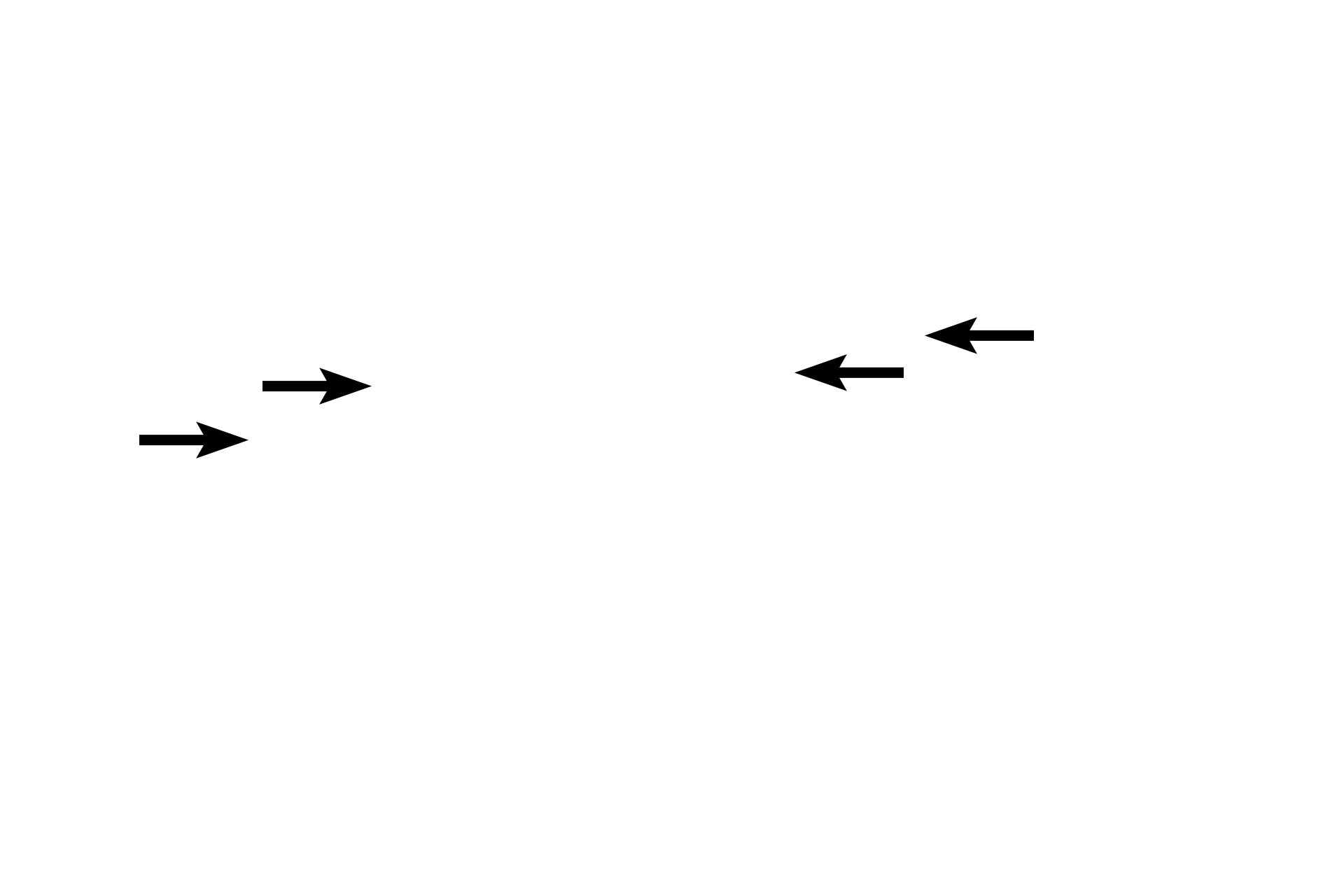 Mitotic spindles <p>During metaphase, the mitotic spindle is complete and the haploid set of replicated chromosomes (sister chromatids) align at the metaphase plate.  The cohesive protein complex attaching the chromatids is cleaved allowing for separation at the centromere.</p>
