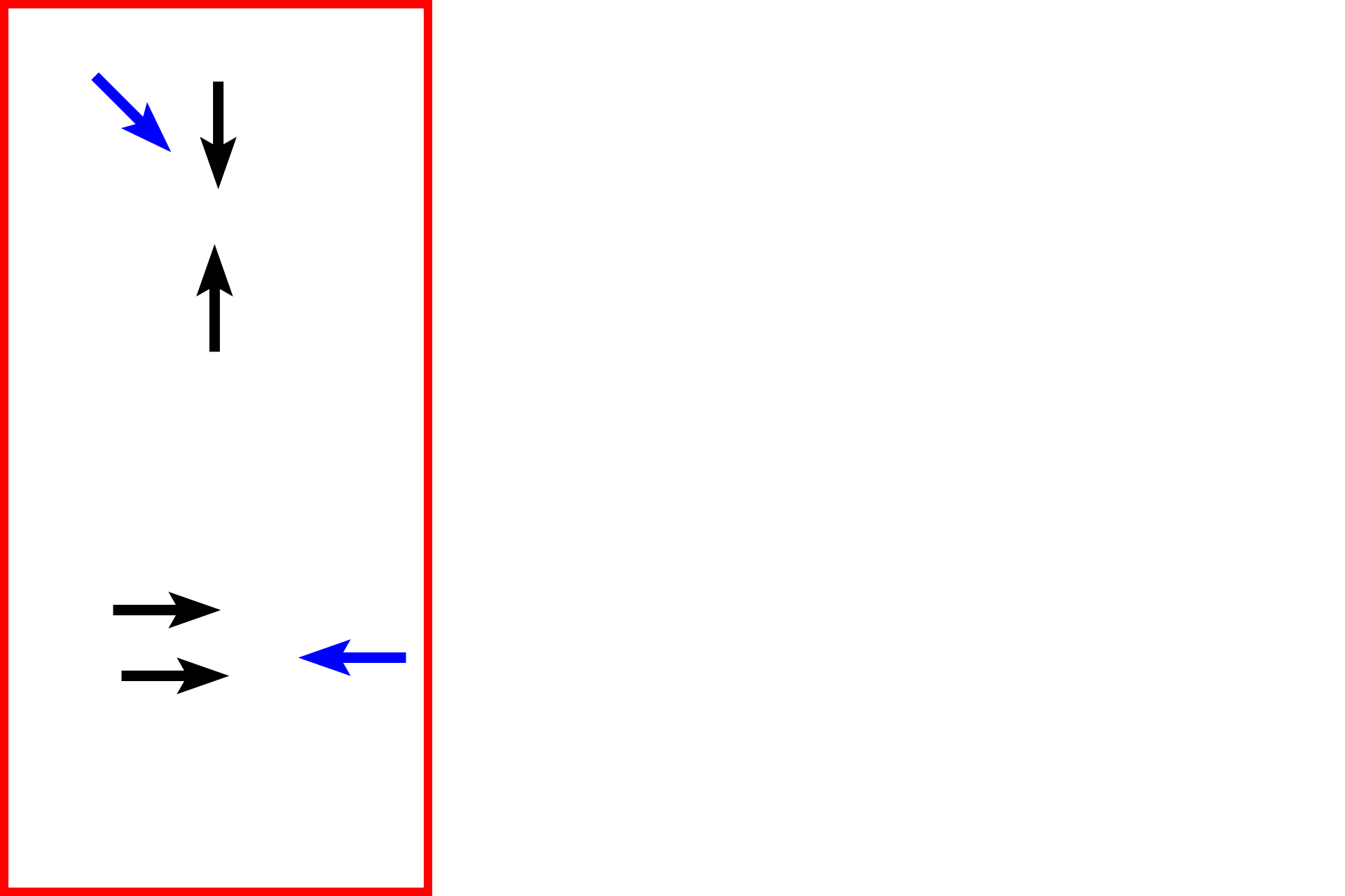 Early prophase > <p>During early prophase, the chromatin is beginning to condense into chromosomes (black arrows) and the nuclear envelope is mostly complete, though evidence of dissolution is present (blue arrows).  Also, centrosome migration to opposite poles of the nucleus begins during this phase.</p>
