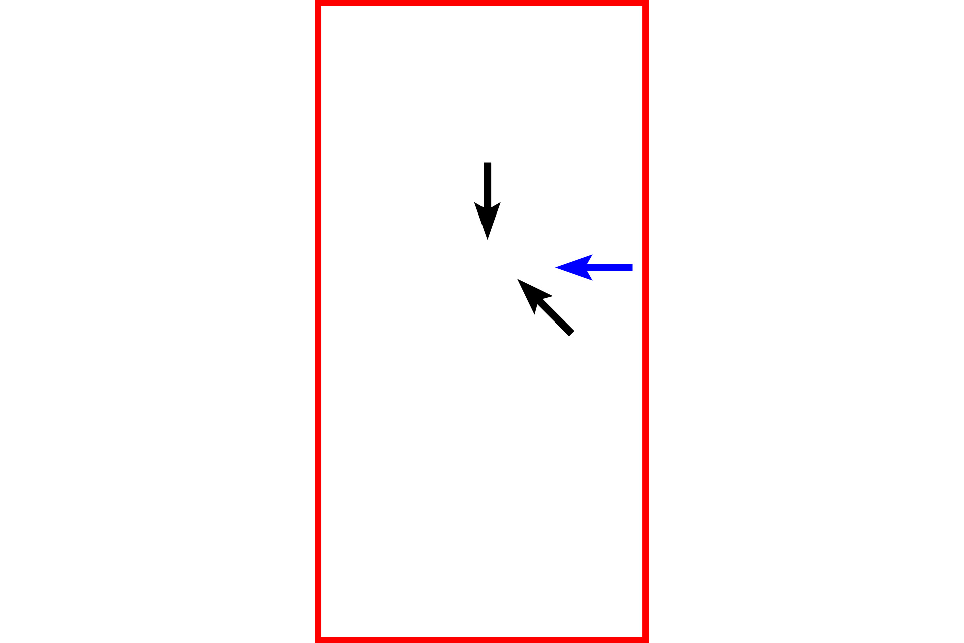 Mid-prophase > <p>By mid-prophase, the replicated chromosomes are clearly evident (black arrows) and demonstrate greater basophilia due to the chromatin condensation.  Dissolution of the nuclear envelope is nearly complete, though in some regions, evidence of its presence is visible (blue arrow)</p>
