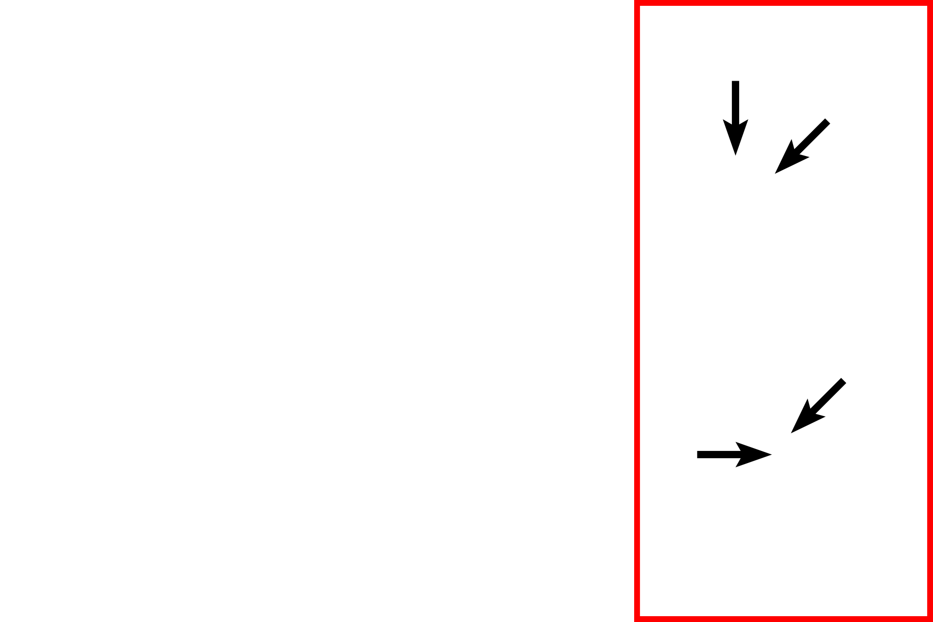 Late prophase > <p>By late prophase, the chromosomes are fully condensed (black arrows) and the nuclear envelope has completely disappeared.  Though not visible in this image, centrosome migration is complete and mitotic spindle formation has begun.</p>
