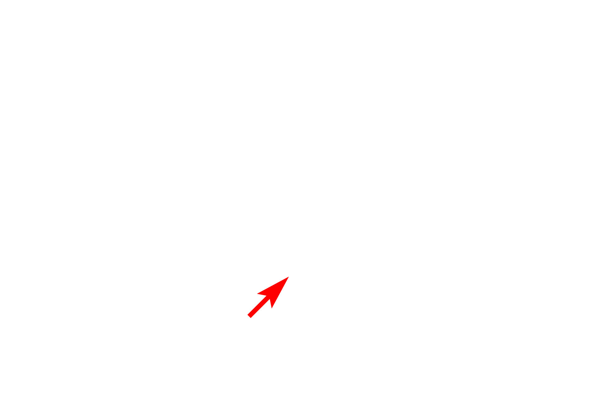 Connection with nuclear envelope <p>The RER consists of flattened, interconnected membranous sacs (cisterns) that are continuous with the nuclear envelope.  RER possesses ribosomes for synthesis of proteins for export, membrane insertion and incorporation into lysosomes.  Proteins synthesized by the ribosomes accumulate in the central space of the RER cisterns before being transported to the Golgi apparatus.</p>
