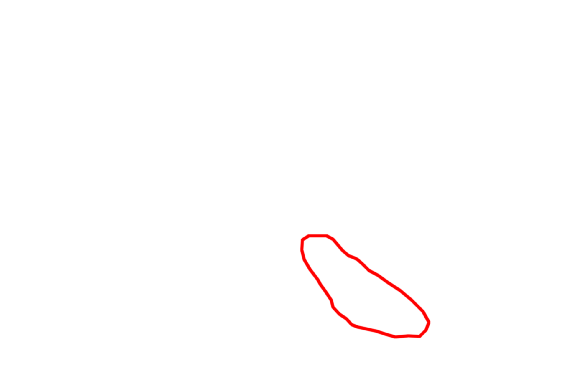  - Trans Golgi network <p>The Golgi consists of stacks of smooth, flattened membranous sacs (cisternae), usually located near the nucleus.  Newly synthesized proteins are transferred from the RER by transport vesicles, which fuse with the forming, or cis, face of the Golgi.  From there, proteins move through the mid-Golgi where they are modified, and eventually exit in vesicles from the maturing, or trans, face.  The collection of these vesicles forms the trans-Golgi network along with microtubules for transport throughout the cell.  25,000x</p>
