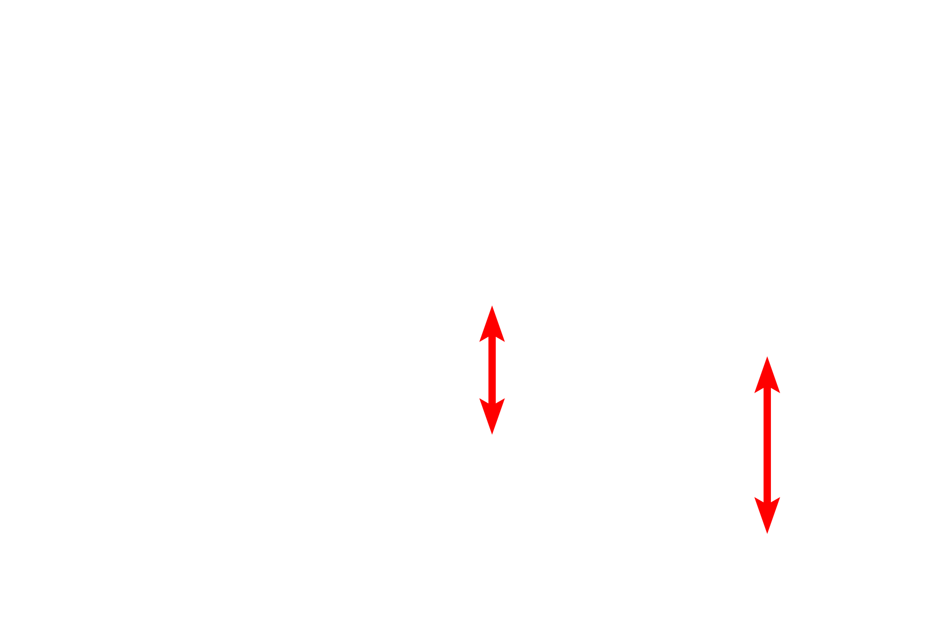 Simple squamous cell <p>Movement of materials across the plasma membrane occurs by: (1) simple diffusion for lipid soluble and small uncharged molecules; (2) active or passive transport via membrane transport proteins; and (3) vesicular transport (endocytosis and exocytosis), which requires readily observable morphological changes in the membrane.  Capillary wall  40,000x</p>
