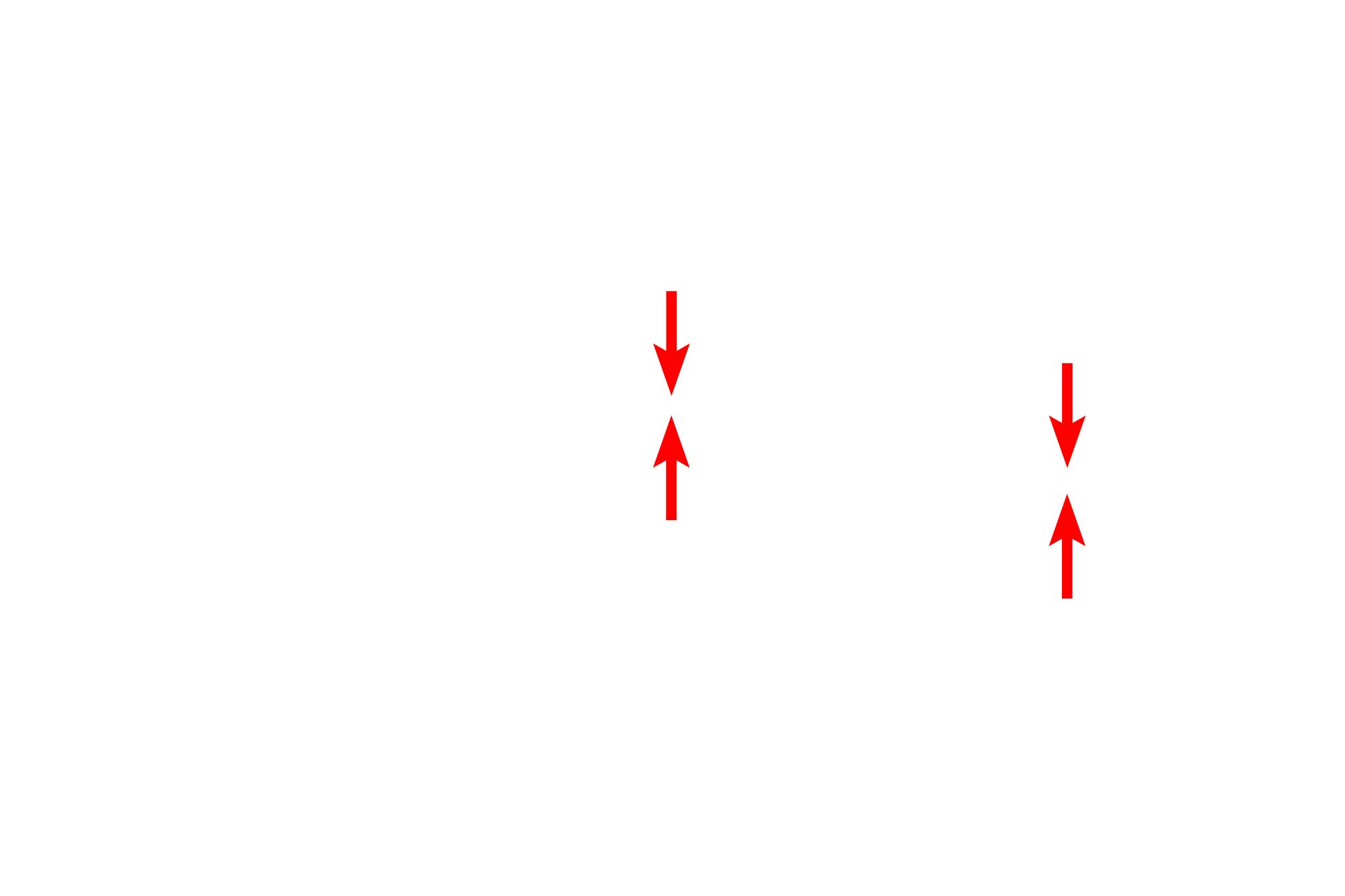  - Basal lamina <p>Movement of materials across the plasma membrane occurs by: (1) simple diffusion for lipid soluble and small uncharged molecules; (2) active or passive transport via membrane transport proteins; and (3) vesicular transport (endocytosis and exocytosis), which requires readily observable morphological changes in the membrane.  Capillary wall  40,000x</p>
