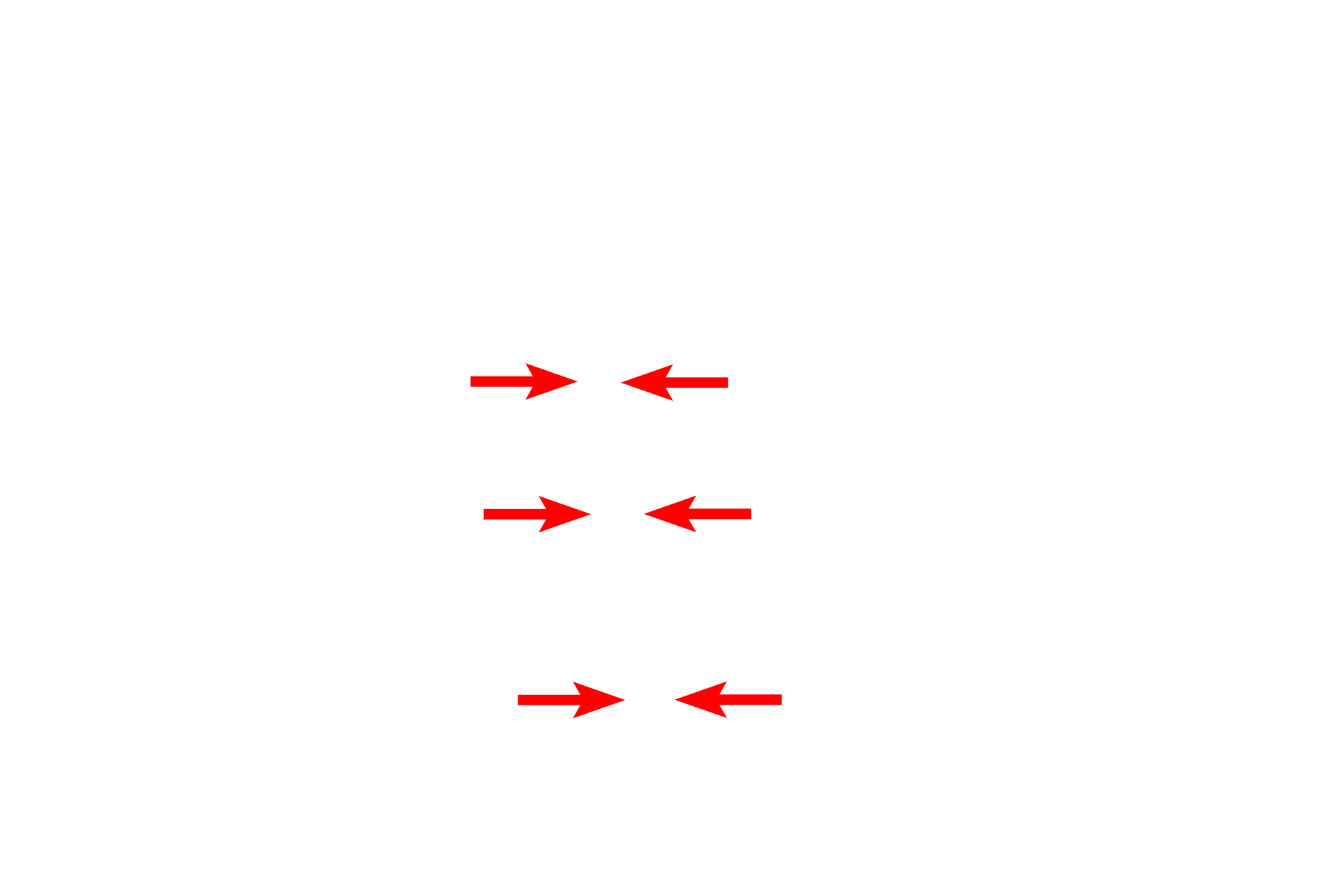  - H band <p>The sarcomere is the contractile unit of striated muscle and extends from one Z line to an adjacent Z line. During contraction, the width of the sarcomere narrows. The width of the A band remains constant, but both the I and H bands narrow as the areas of overlap of thin and thick myofilaments increase.</p>
