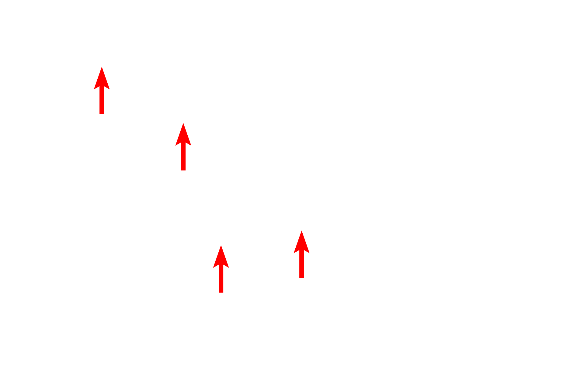 Nissl substance <p>A multipolar neuron shows the abundant Nissl substance in its cytoplasm, as well as a characteristically large, euchromatic nucleus and prominent nucleolus.  Two Nissl-containing dendrites extend from the cell body.  Nuclei of astrocytes and oligodendrocytes, as well as myelinated axons, are also present.  Toluidine blue stain  1000x</p>
