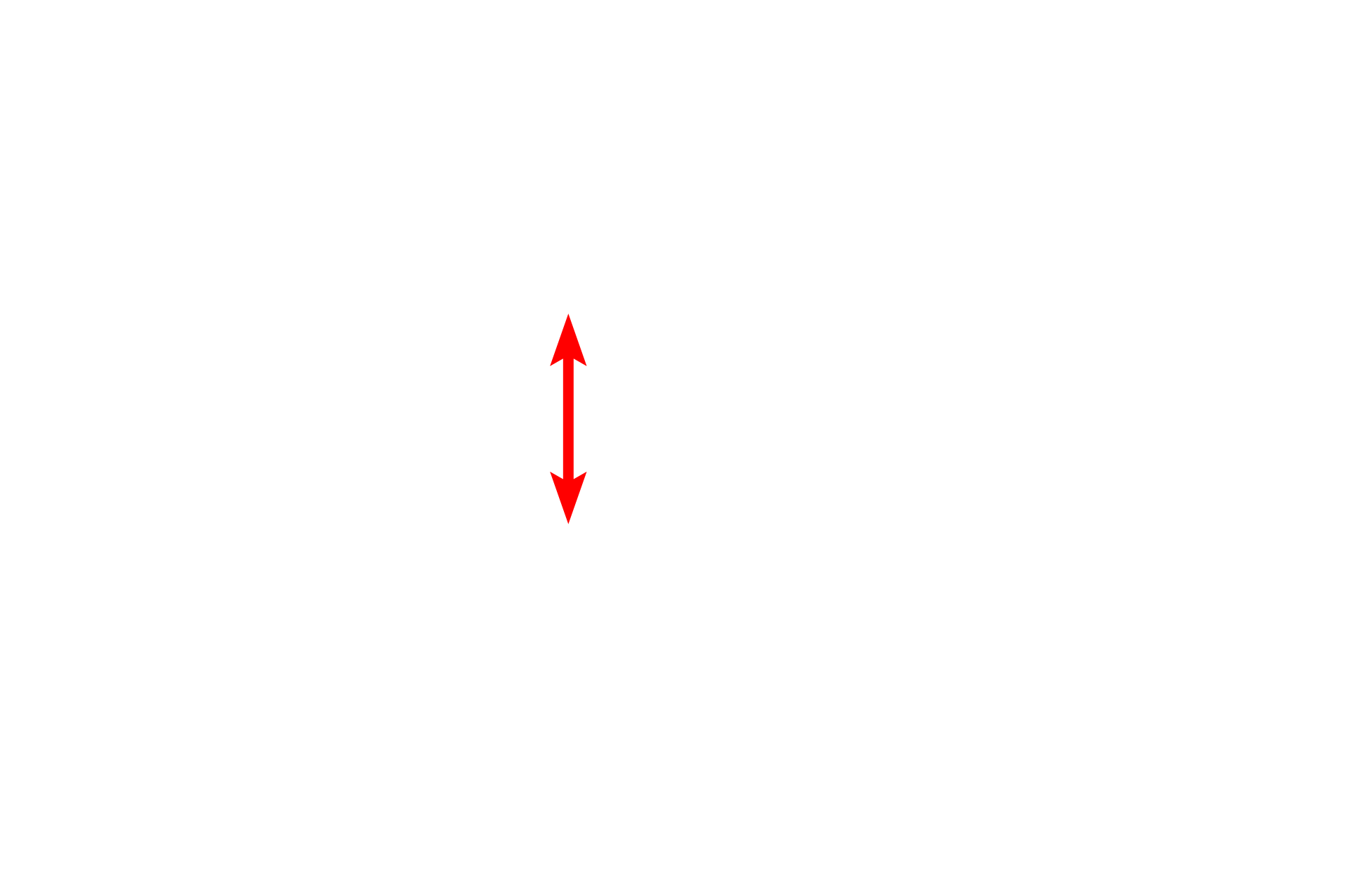 Nucleus <p>A multipolar neuron shows the abundant Nissl substance in its cytoplasm, as well as a characteristically large, euchromatic nucleus and prominent nucleolus.  Two Nissl-containing dendrites extend from the cell body.  Nuclei of astrocytes and oligodendrocytes, as well as myelinated axons, are also present.  Toluidine blue stain  1000x</p>
