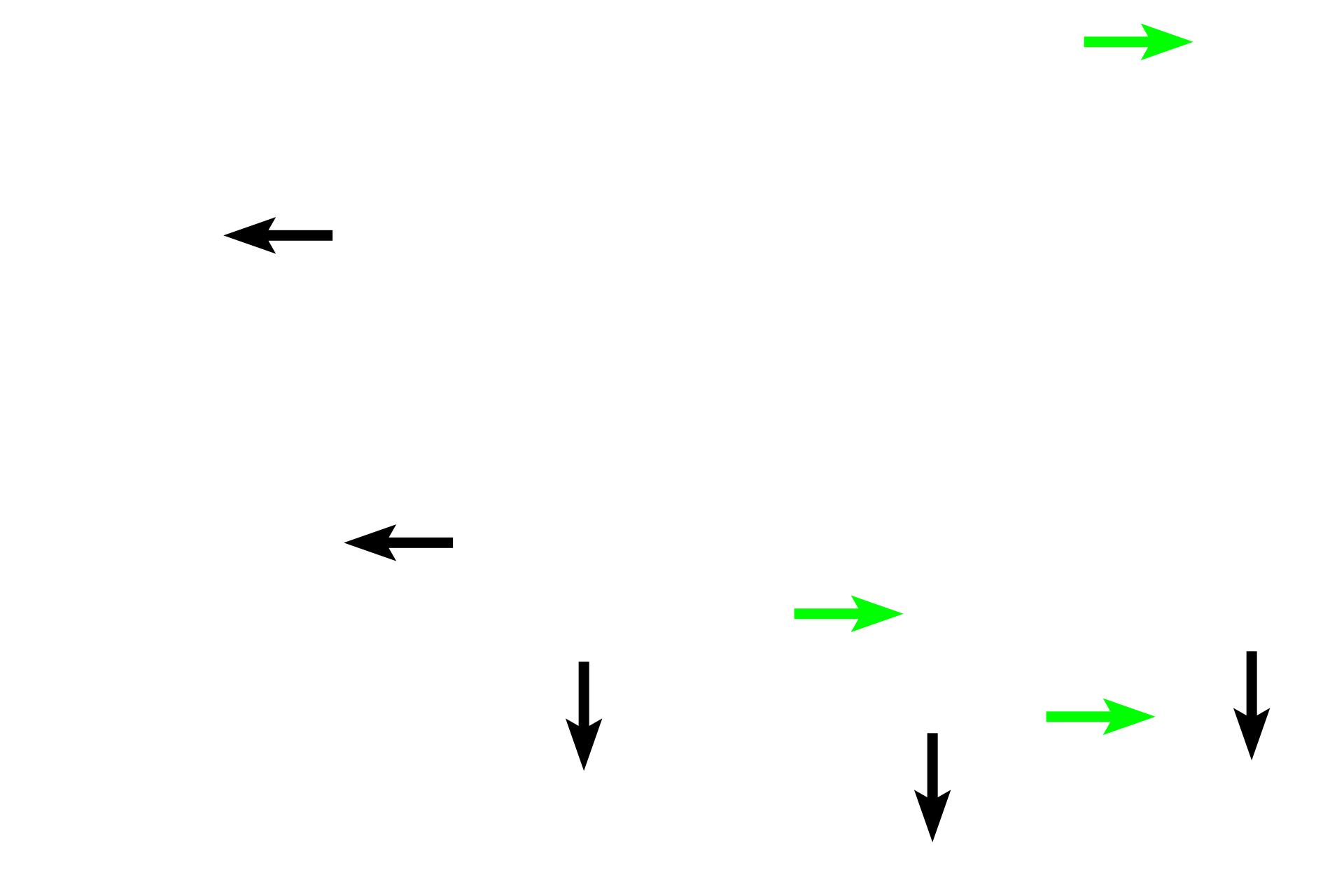 Simple squamous<br>epithelium > <p>The simple squamous epithelium at the black arrows serves a lining function with no transport occurring across its surface.  The simple squamous epithelia at the green arrows line capillaries where large amounts of transport and diffusion occur.</p>
