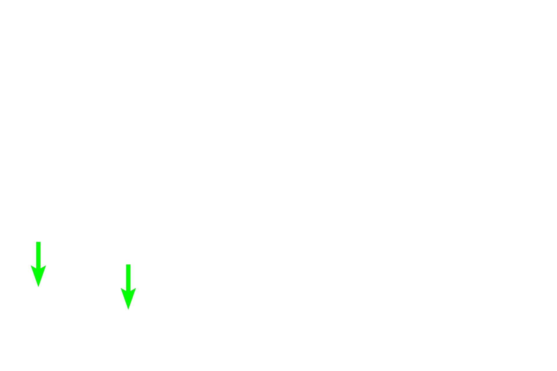 Simple cuboidal epithelium  > <p>Simple cuboidal epithelia frequently form the walls of ducts or tubules, as seen here. Cuboidal cells usually possess spherical nuclei, while the cells themselves vary from nearly cube-shaped to rectangular.</p>
