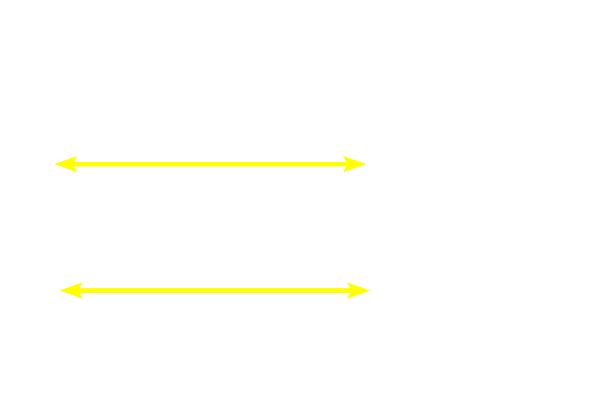Tunica adventitia <p>This longitudinal section of a large vein was stained for elastic fibers (black). The wall of a large vein is variable depending on its location. Here, in the vena cava, longitudinally oriented smooth muscle is present in tunica intima and adventitia. In this orientation, the circularly arranged smooth muscle in the tunica media is seen in cross section. An internal elastic lamina is present. 100x</p>