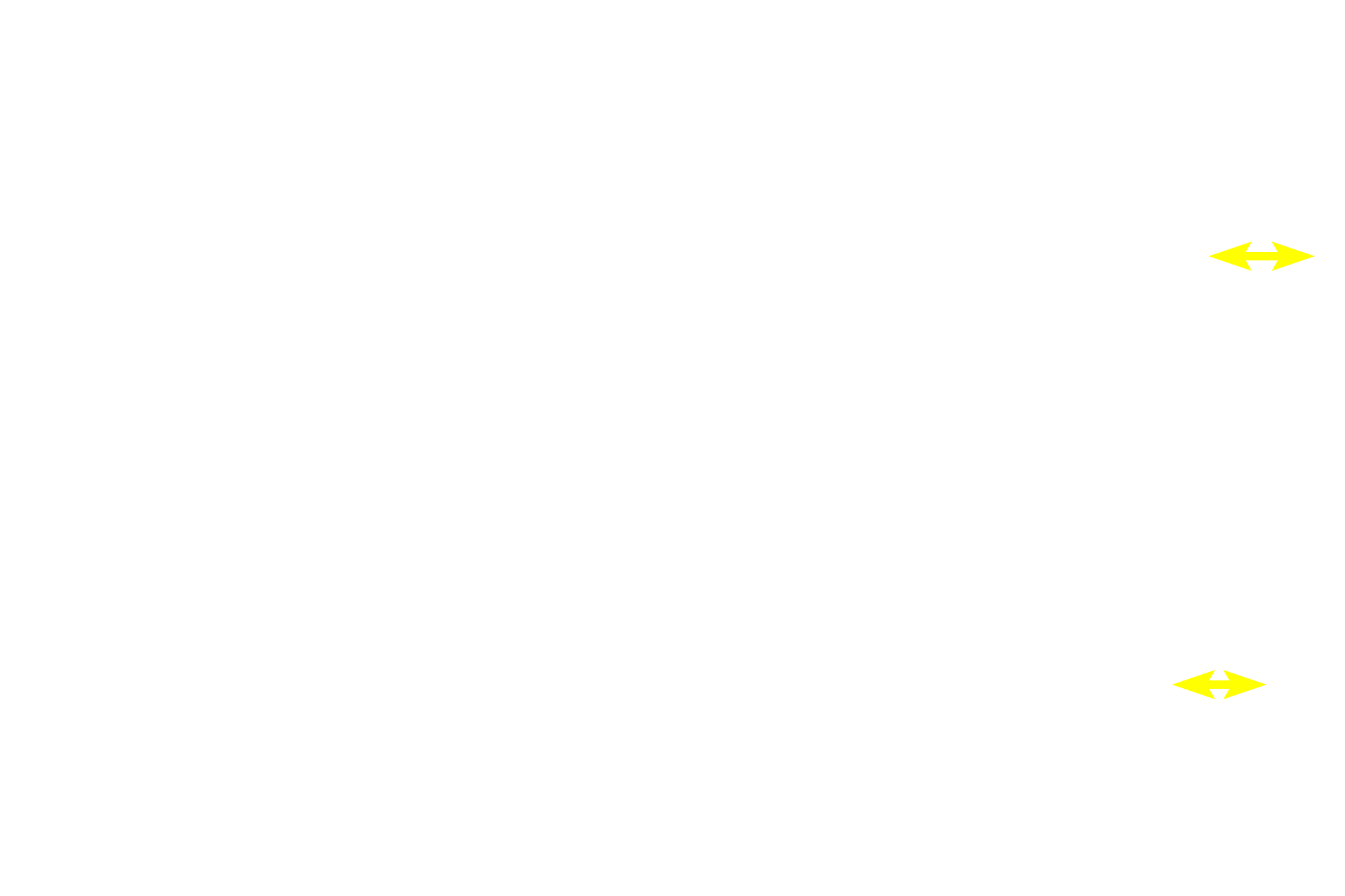 Tunica intima <p>A feature of large veins, like the vena cava shown here, is a significant amount of smooth muscle in the tunica adventitia. Smooth muscle fibers in the adventitia are oriented longitudinally, thus they usually are seen in cross section. Smooth muscle fibers in the media are arranged circularly and, thus, are cut in longitudinal section. This stain for elastin clearly shows the internal elastic lamina and elastic fibers throughout the adventitia. 100x</p>