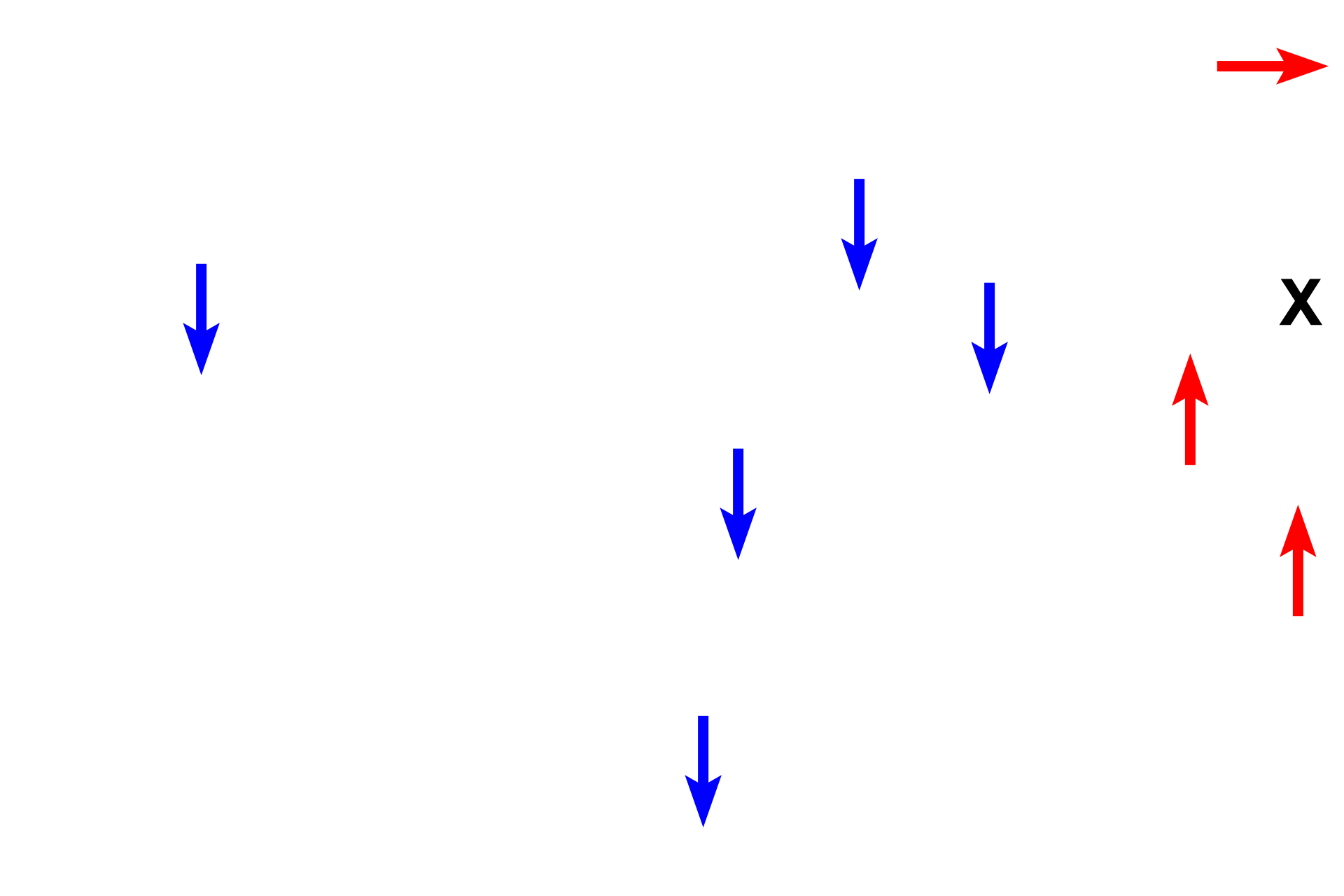 Vasculature > <p>Arterioles in the capsule supply wide-bore fenestrated capillaries (blue arrows) with blood that percolates through cortical zones to enter medullary capillaries.  Additional arterioles from the capsule directly supply the medullary capillaries (red arrows).  Both capillary beds drain into larger veins (X) in the medulla, which anastomose to form the single medullary vein that exits from the organ.</p>
