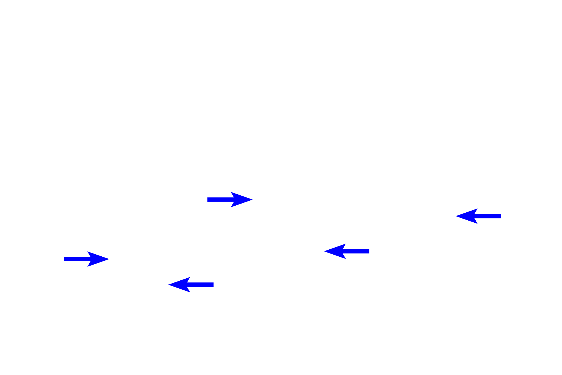  - Secretory granules  <p>Because these cells release their secretory product into the lamina propria surrounding the glands rather than into the lumen of the gland, their secretory granules are located on the side of the cell facing the lamina propria.</p>
