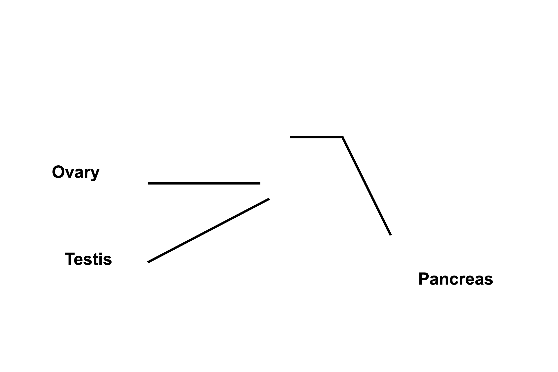 Clusters of endocrine cells > <p>Clusters of endocrine cells may be found in organs with other functions such as the islets of Langerhans scattered throughout the exocrine pancreas.  Some other examples are follicular, thecal and luteal cells in the ovary, as well as Leydig cells in the testis.</p>
