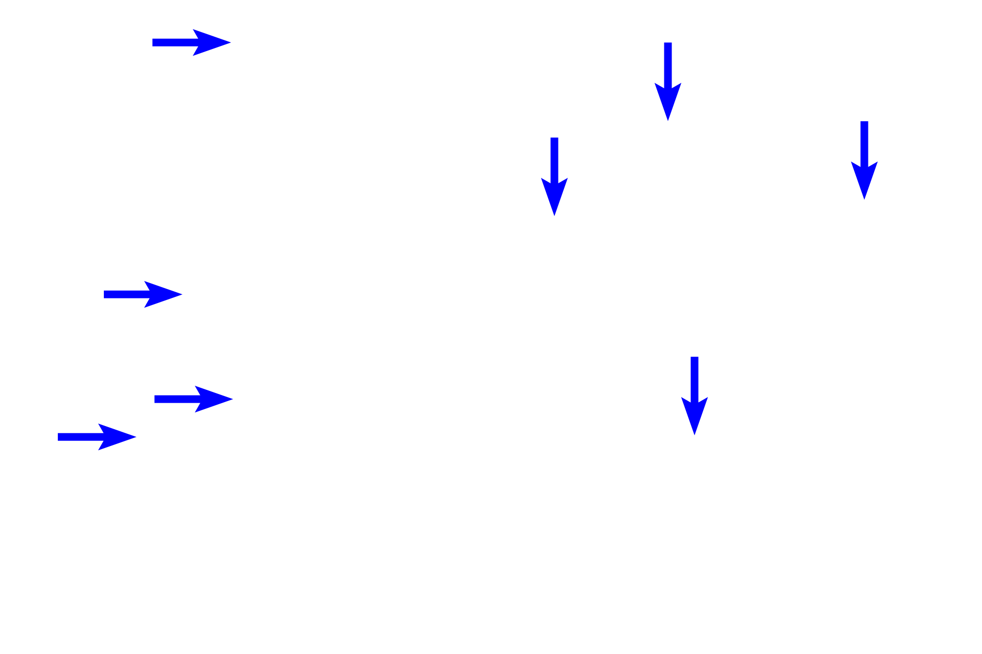 Ducts > <p>The upper portion of the left image contains two or three ducts which meander through the dermis, thus producing isolated profiles in section.  Other portions of the darkly staining ducts can be seen coiled within the secretory units.</p>
