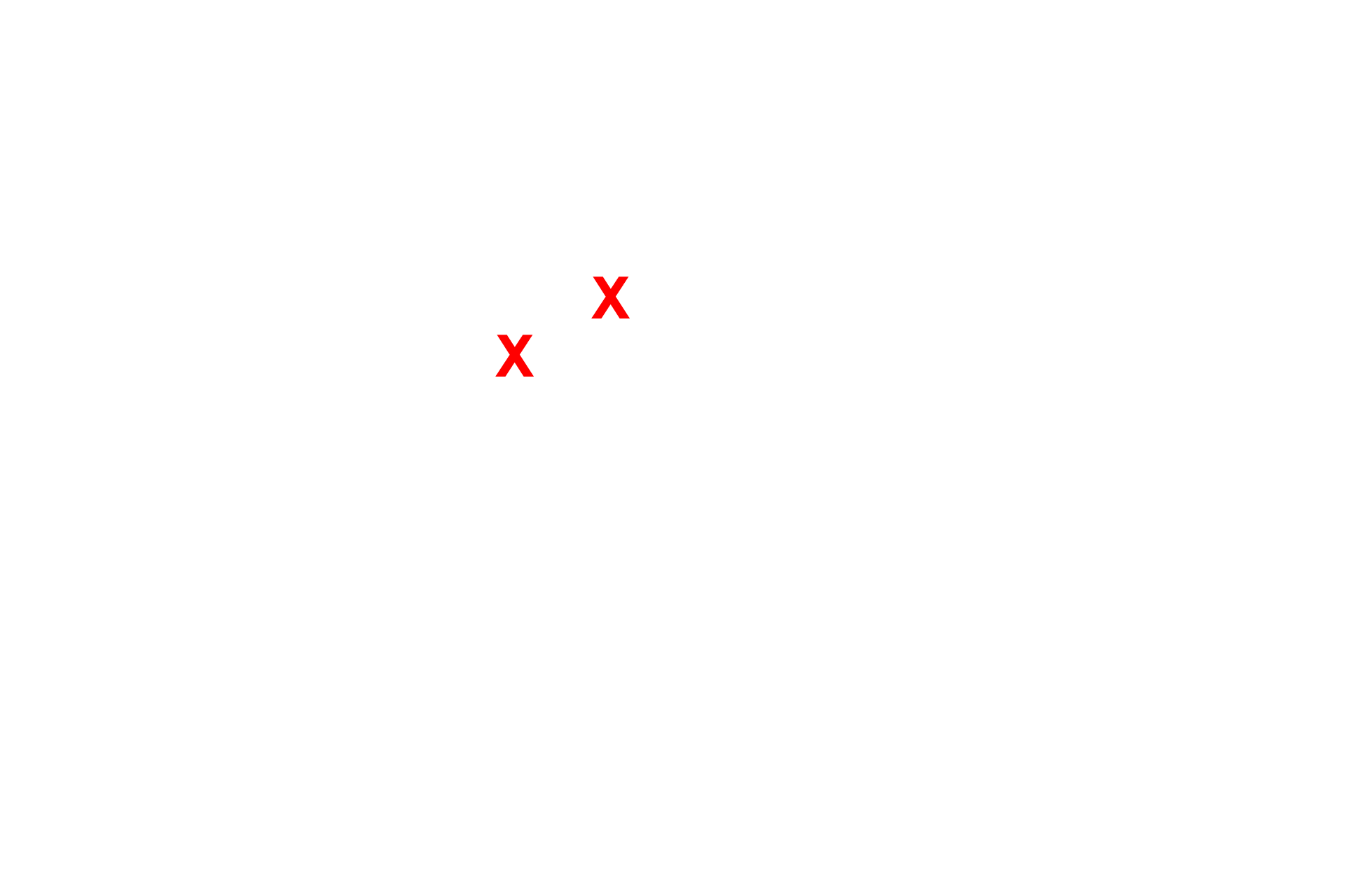  - Wide lumen with mucus <p>The tubule cells contain numerous irregular mucous-containing secretory granules.  This mucus is often lost during routine histological processing resulting in the foamy appearance of the cytoplasm.  Nuclei are located at the base of the cells and the tubule shows a wide lumen.</p>
