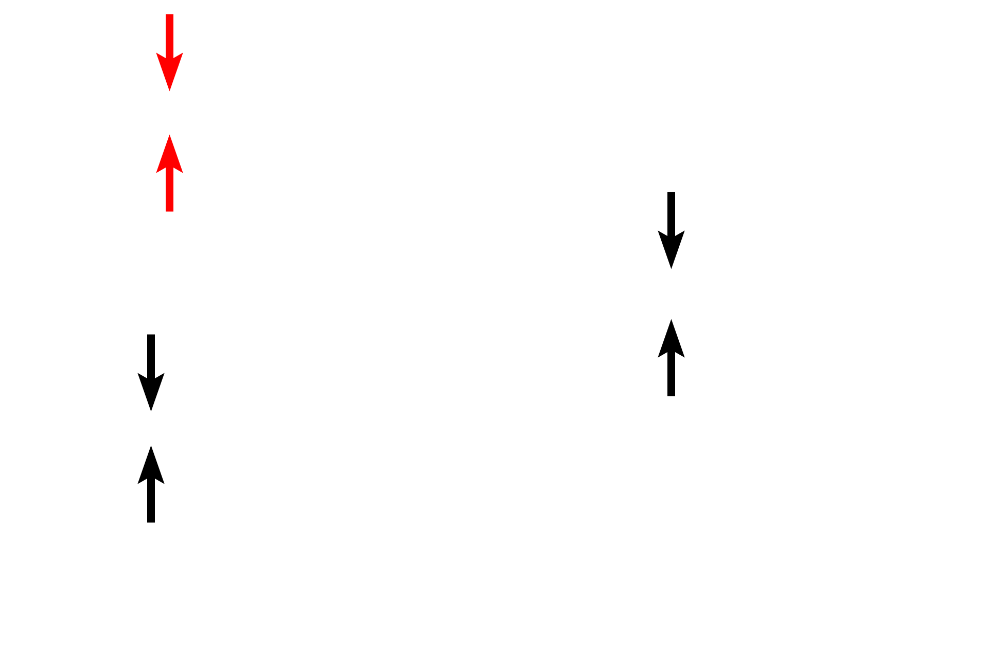 Mucosa <p>The large intestine, composed of the four basic tunics, is differentiated from small intestine by the lack of villi, straight intestinal glands and taeniae coli.  The large intestine is the site of water absorption and fecal formation.  The large intestine was cut in cross section in the top left image and longitudinally through a taenia coli in the bottom left image.  10x, 10x</p>
