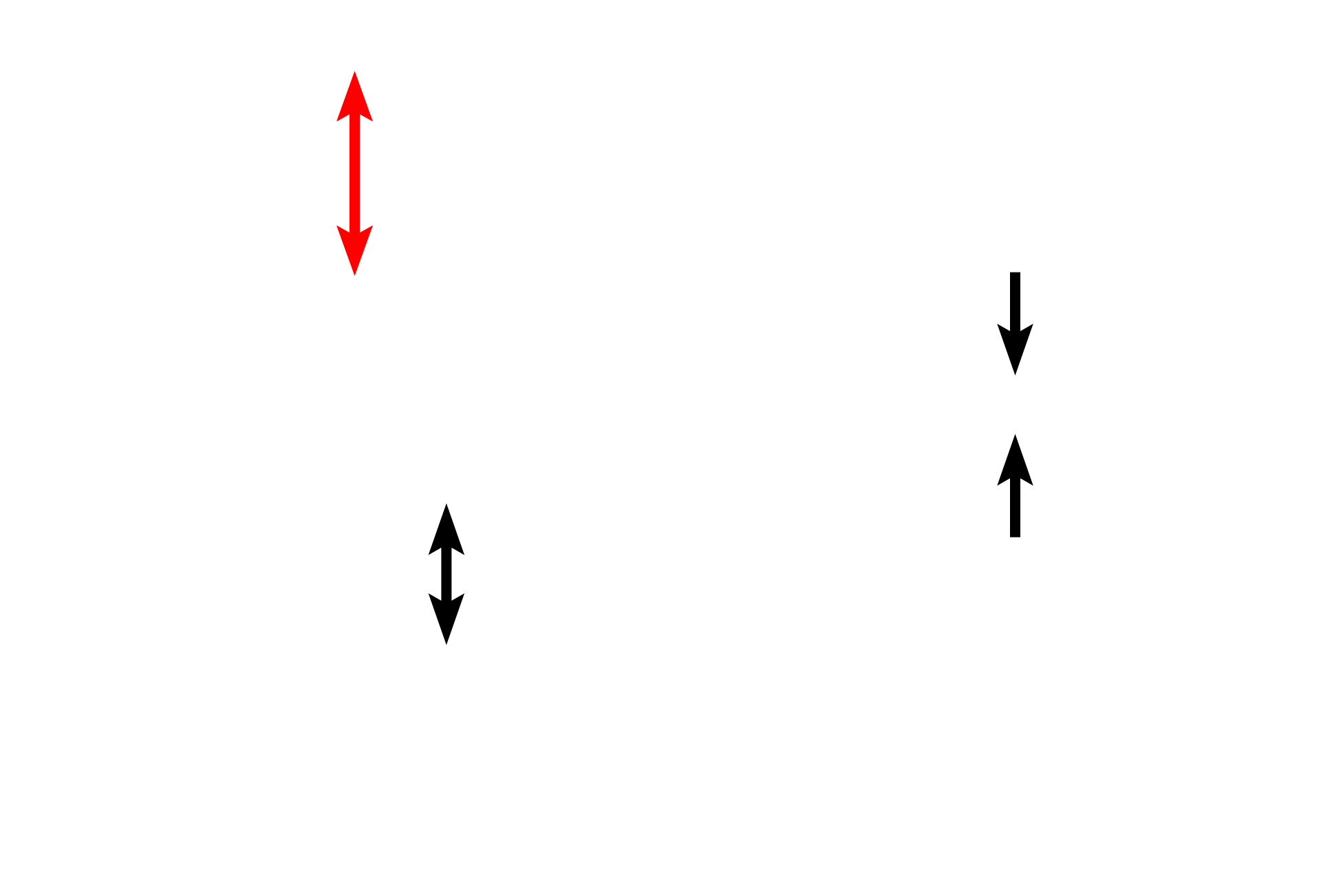 Submucosa <p>The large intestine, composed of the four basic tunics, is differentiated from small intestine by the lack of villi, straight intestinal glands and taeniae coli.  The large intestine is the site of water absorption and fecal formation.  The large intestine was cut in cross section in the top left image and longitudinally through a taenia coli in the bottom left image.  10x, 10x</p>
