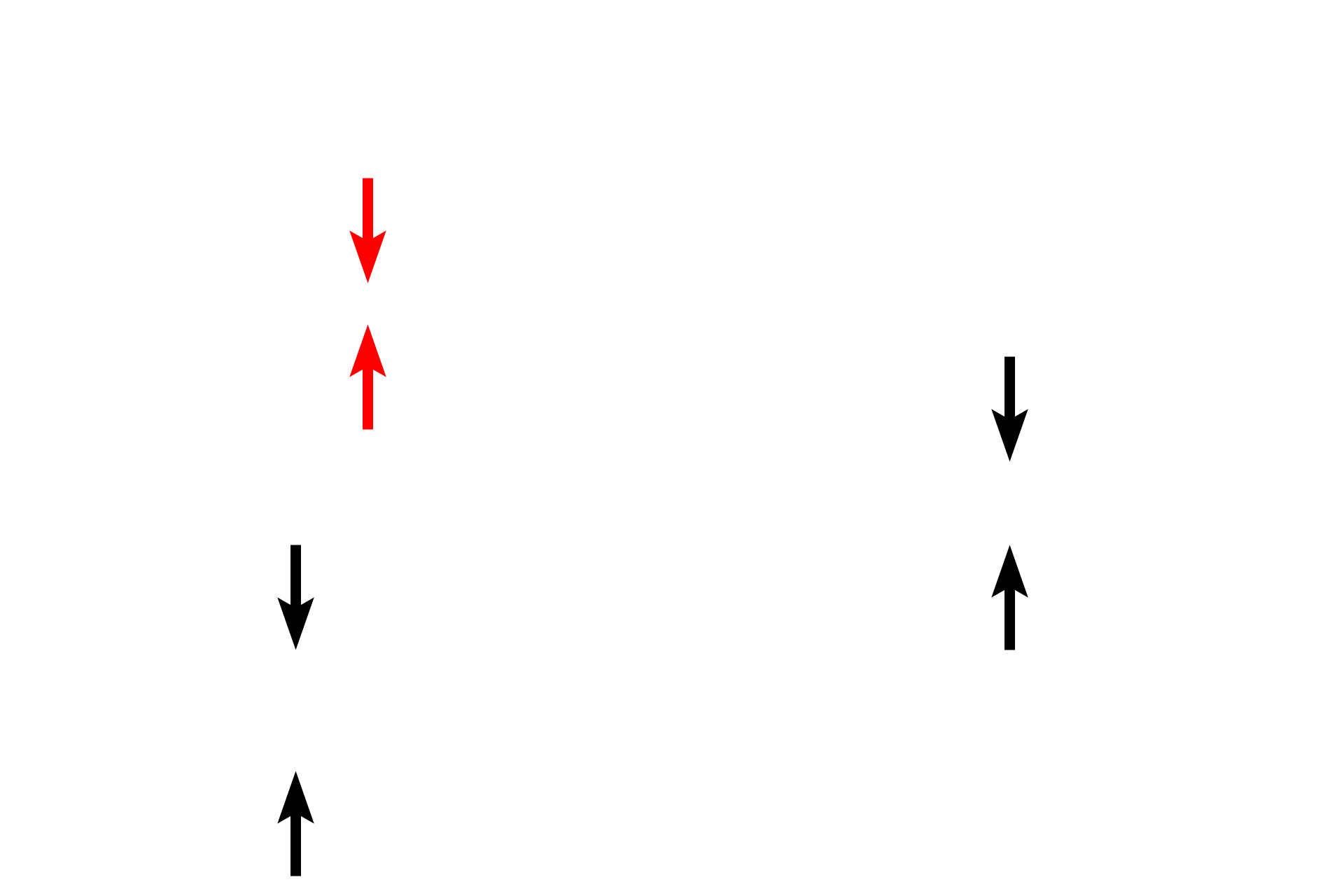 Inner muscularis externa > <p>The inner circular portion of the muscularis externa is similar to the circular layers seen thus far in the stomach and small intestine.</p>
