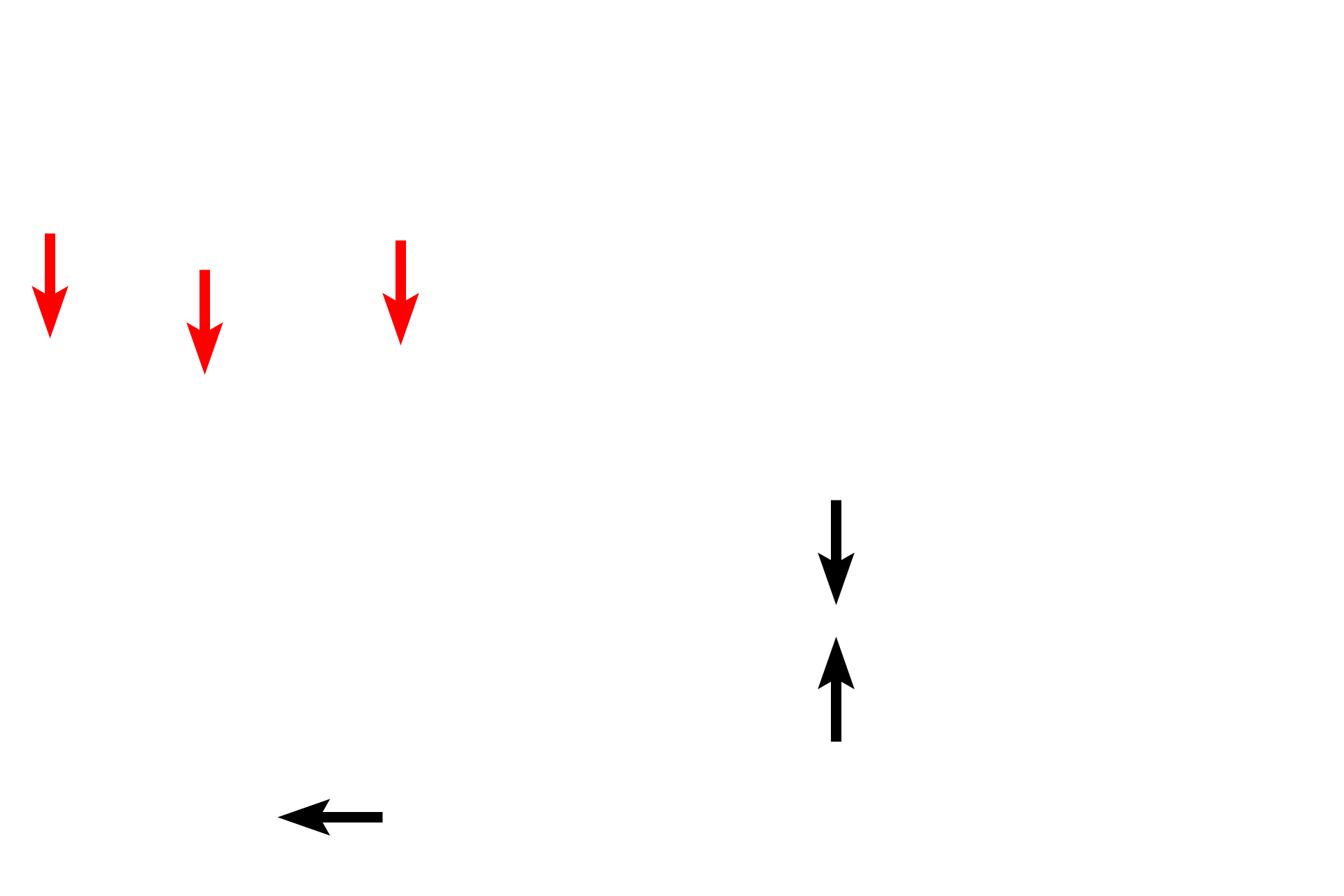 Outer muscularis externa > <p>The majority of the outer longitudinal portion of muscularis externa is segregated into three separate bands called taeniae coli, seen cut in cross section in the upper image and on the right.  In the bottom image, the outer longitudinal portion is sectioned longitudinally through one of the taeniae.</p>
