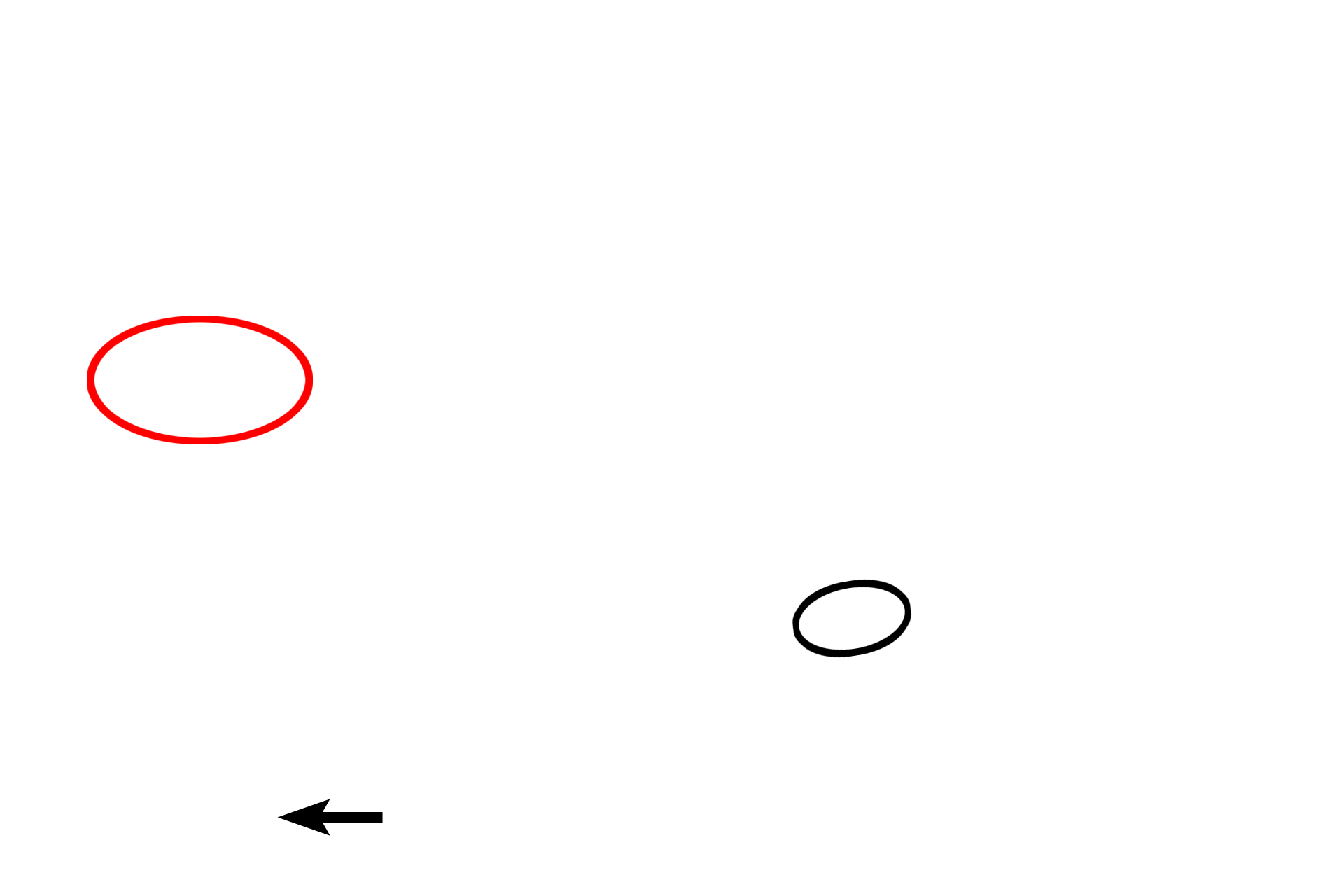  - Taeniae coli <p>The majority of the outer longitudinal portion of muscularis externa is segregated into three separate bands called taeniae coli, seen cut in cross section in the upper image and on the right.  In the bottom image, the outer longitudinal portion is sectioned longitudinally through one of the taeniae.</p>
