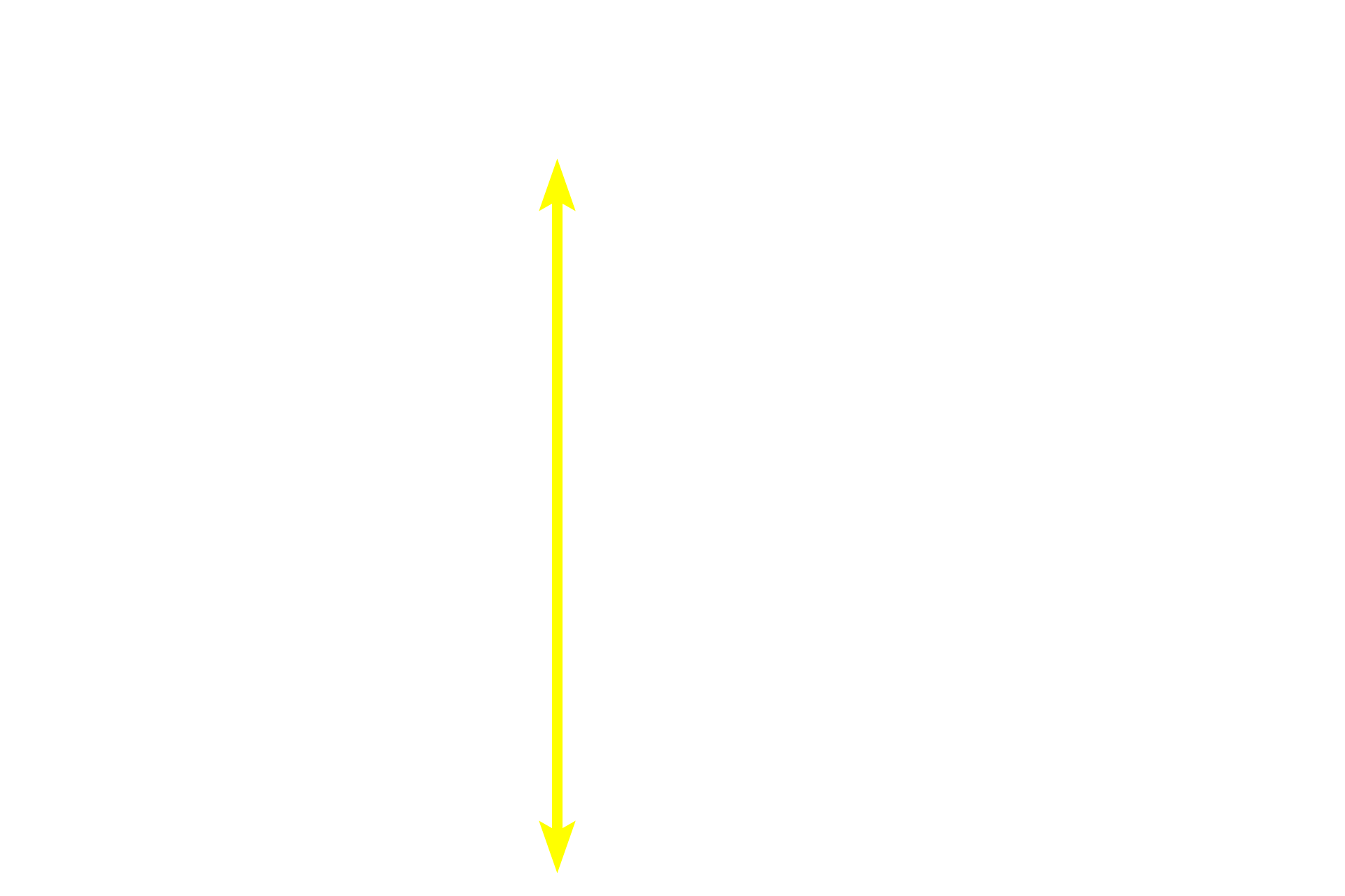 Mucosa <p>The mucosa of the large intestine is lined by absorptive and goblet cells forming a simple columnar epithelium with microvilli.   Goblet cells increase in number from the beginning to the termination of the large intestine, providing lubrication.  A reduced number of enteroendocrine cells is present.  Straight intestinal glands are typical of the large intestine.  400x</p>
