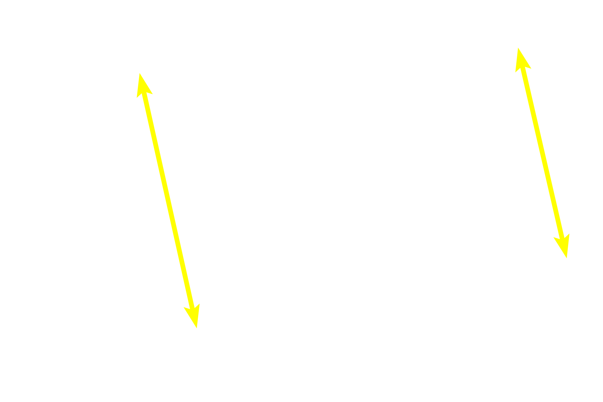  - Intestinal glands <p>The mucosa of the large intestine is lined by absorptive and goblet cells forming a simple columnar epithelium with microvilli.   Goblet cells increase in number from the beginning to the termination of the large intestine, providing lubrication.  A reduced number of enteroendocrine cells is present.  Straight intestinal glands are typical of the large intestine.  400x</p>
