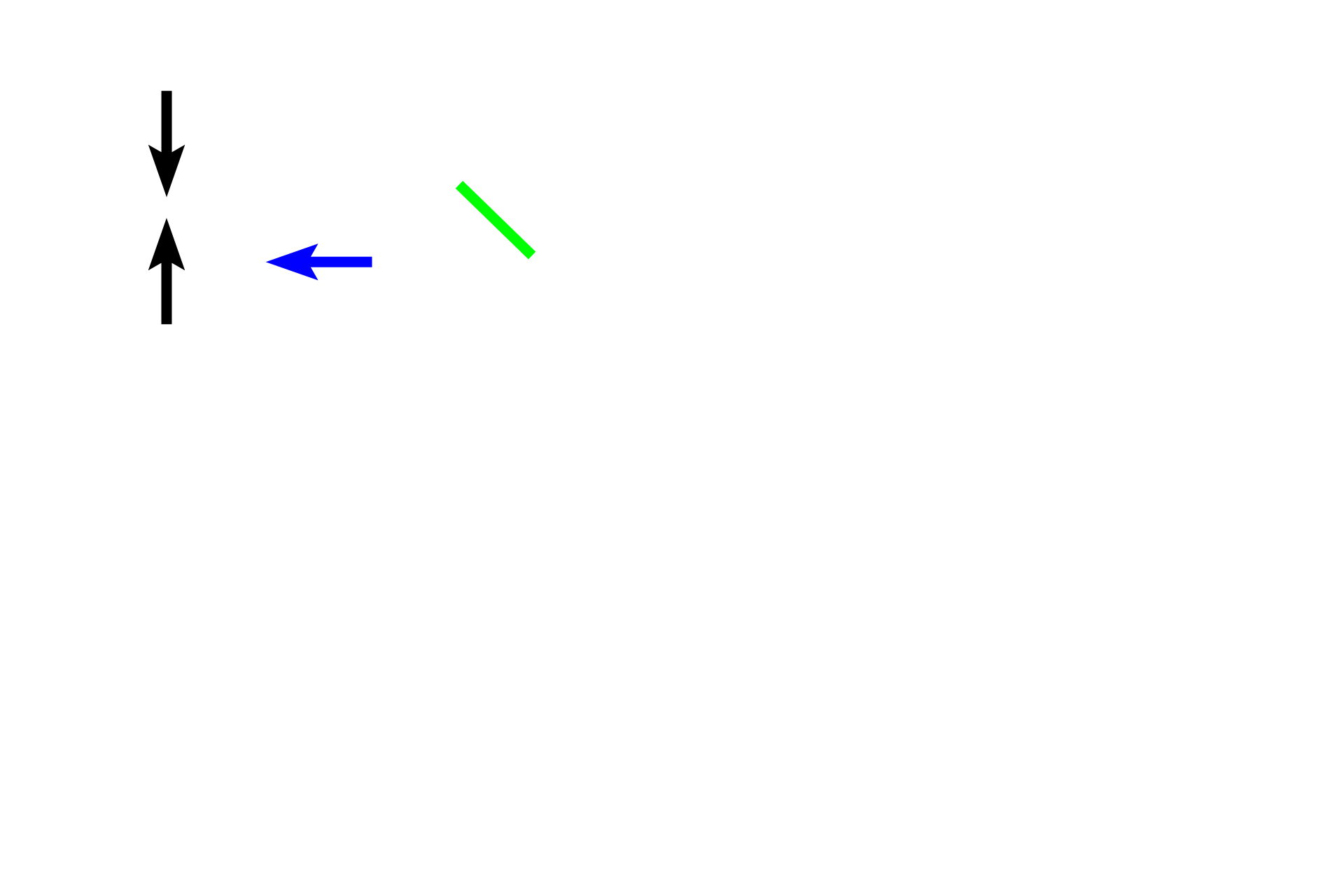 Esophagus > <p>The esophagus is lined by stratified squamous moist epithelium (black arrows).  Scattered glands are present in lamina propria of the upper and lower esophagus and in the submucosa (blue arrow).  Muscularis externa (green line) begins as skeletal muscle, transitions to skeletal plus smooth muscle and finally to only smooth muscle in the lower portion.  An adventitia surrounds the organ.</p>
