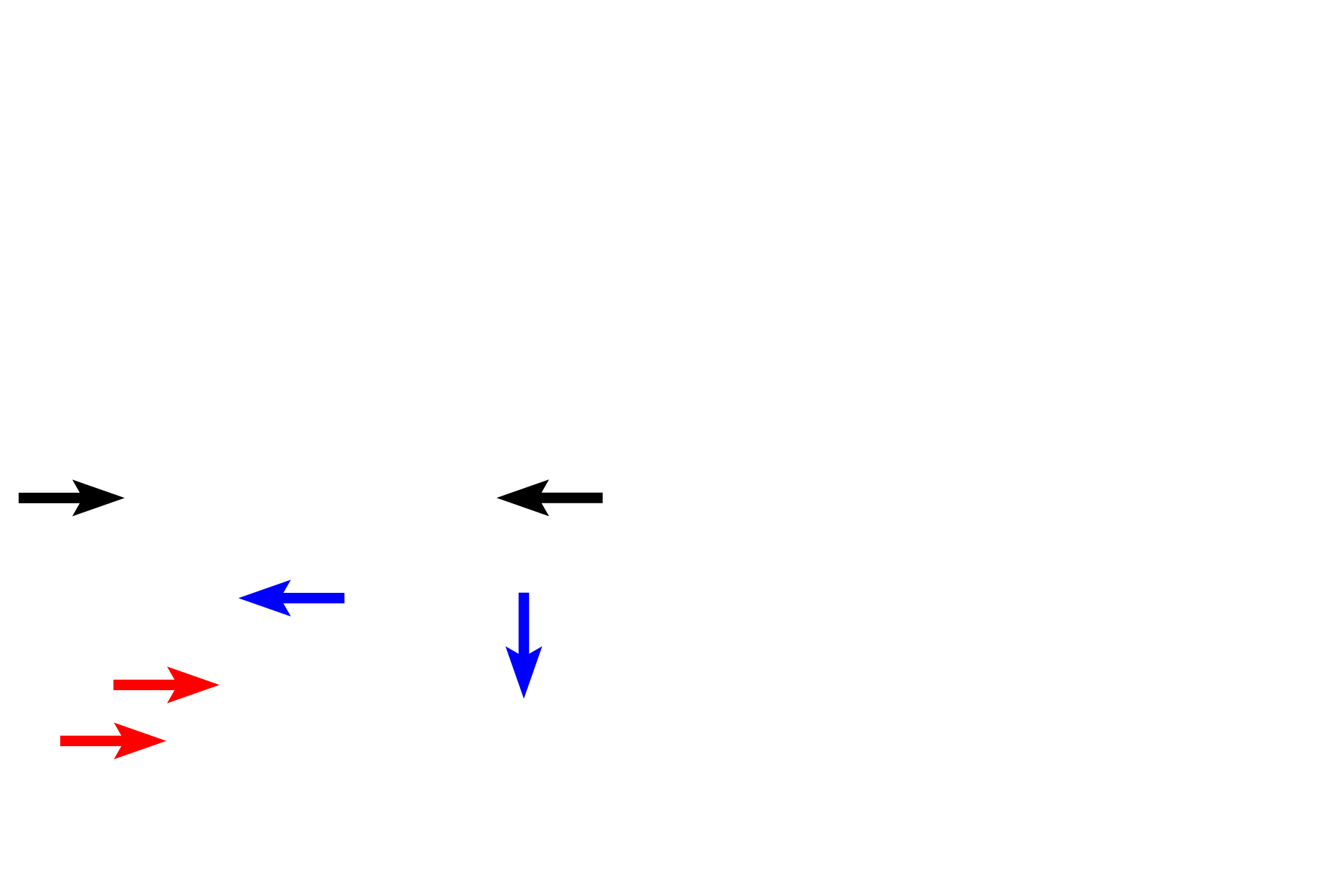 Small intestine > <p>Villi (black arrows) are prominent features of small intestine.  Intestinal glands (blue arrows) open at the bases of villi and extend to muscularis mucosae.  Glands (of Brunner) in submucosa (red arrows) distinguish duodenum from the remainder of small intestine.  Most of the organ is covered by a serosa, although a portion of duodenum is retroperitoneal and possesses an adventitia.</p>
