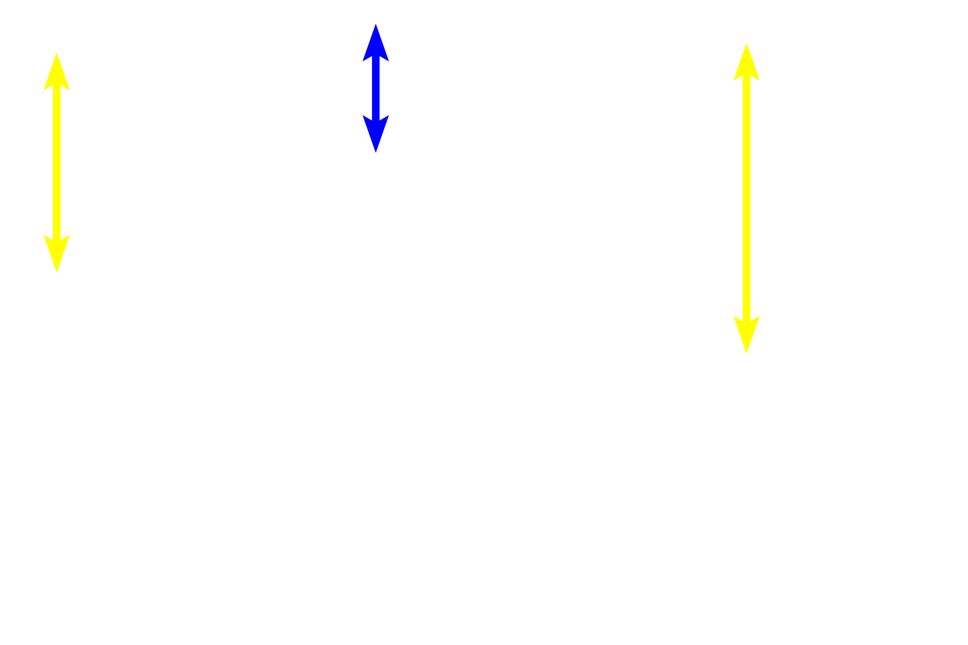 Pits <p>The three regions of the stomach can be distinguished by the ratio of the length of the gastric pits to the length of the gastric glands.  In the cardiac region (left), pits and glands are roughly equal in length; in the body and fundic regions (middle), the pits are much shorter than the glands; in the pyloric region, the pits are longer than the glands (right).  100x</p>
