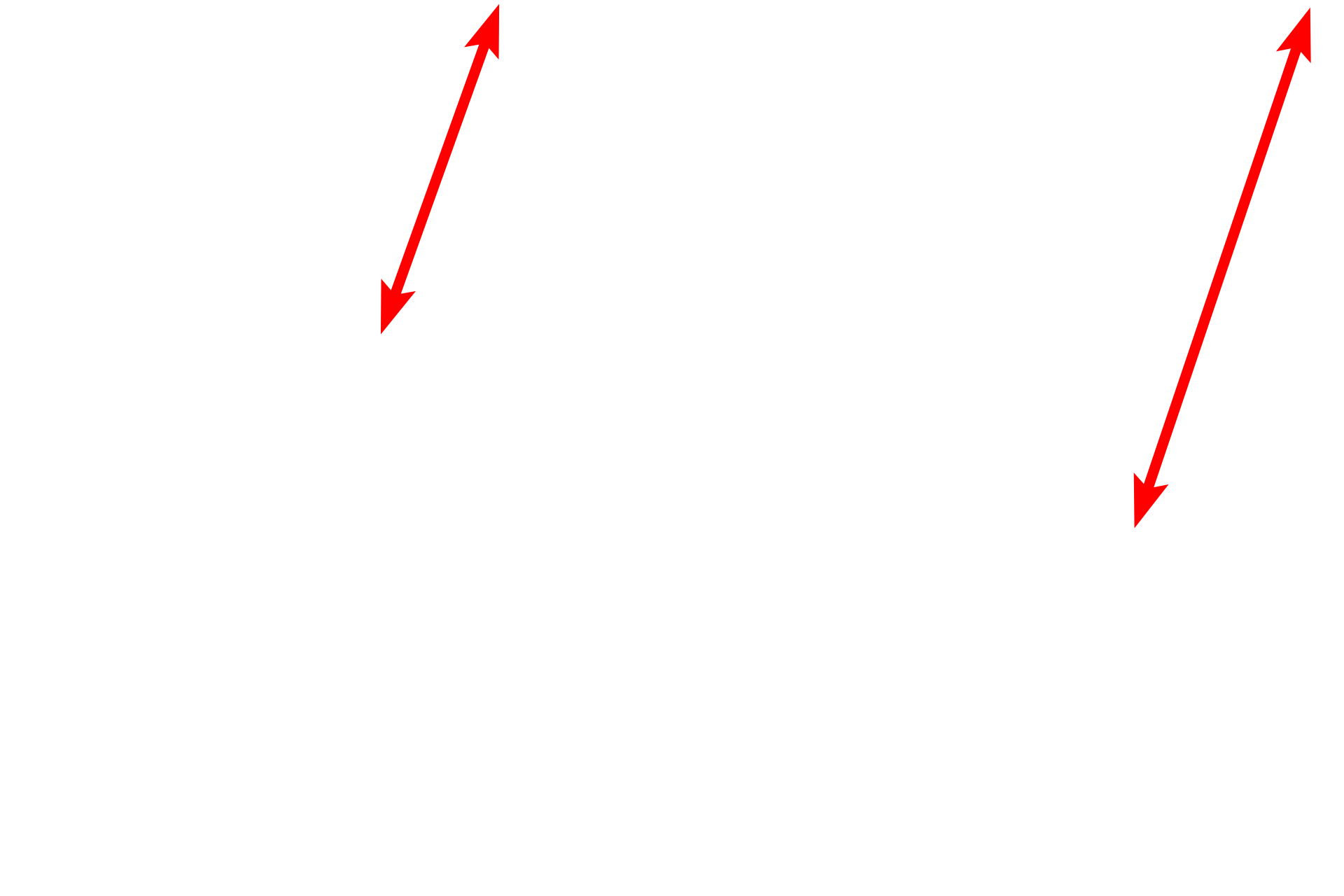 Gastric pits <p>The junction of the gastric pit with the body of a pyloric gland is shown.  400x</p>
