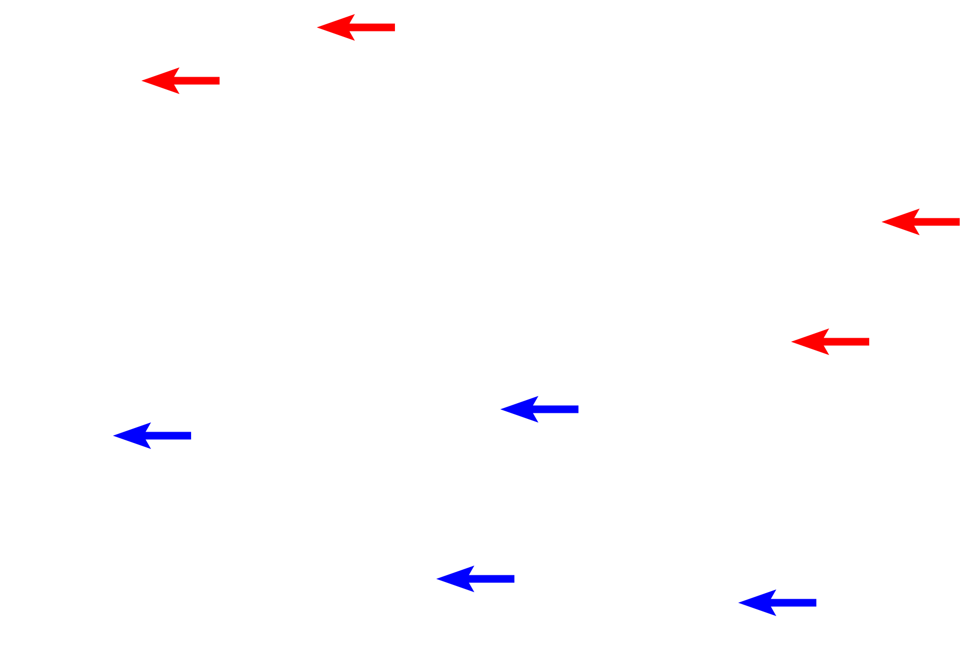 Mucous cells > <p>The mucin in the cells has been mostly lost during tissue preparation, so those regions of the gland cells (blue arrows) and cells lining the pits (red arrows) are pale staining.  However both cell types show a reddish-staining, basal cytoplasm and nucleus.</p>
