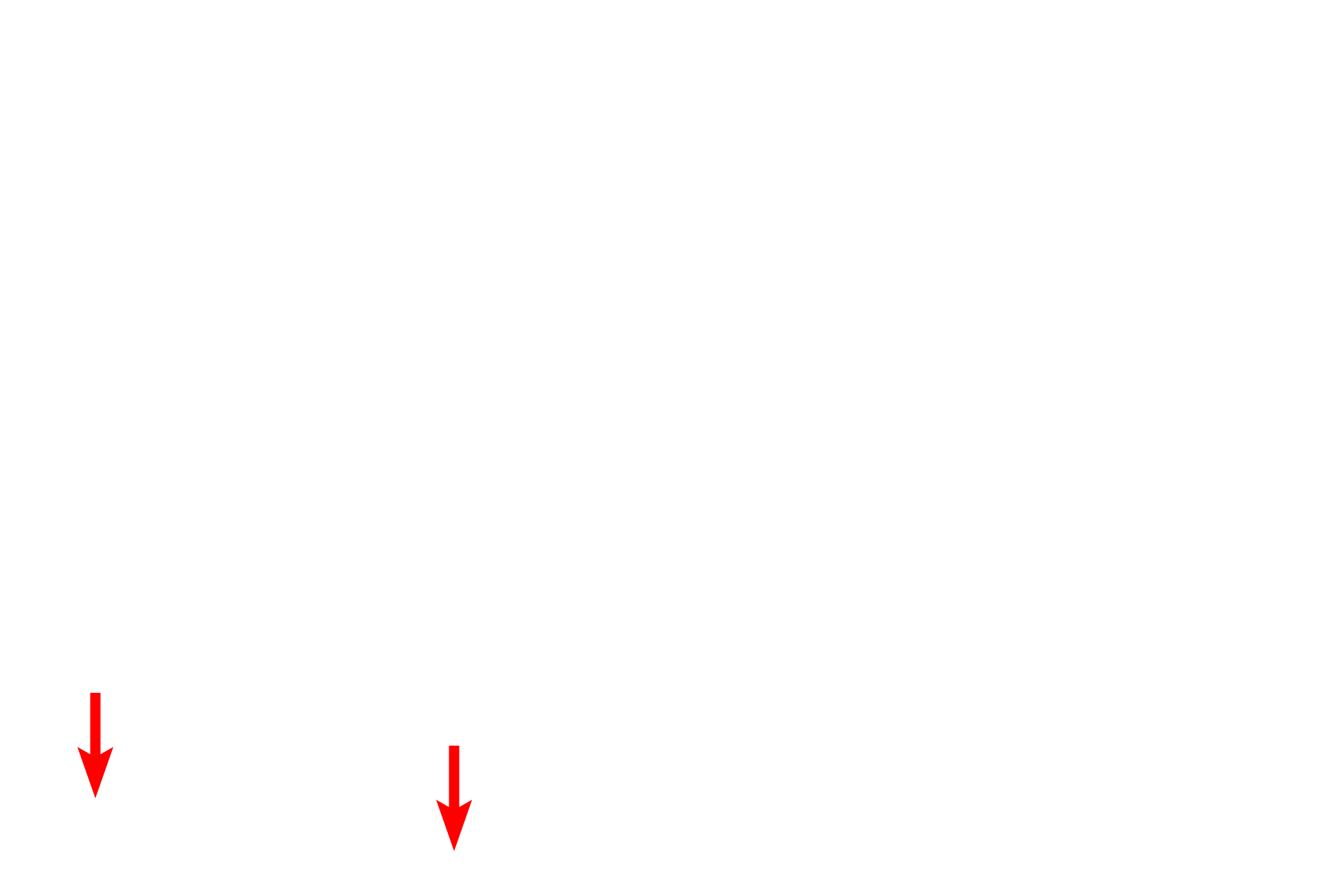 Muscularis mucosae > <p>The muscularis mucosae is the deepest layer of the mucosa and lies just above the submucosa.</p>
