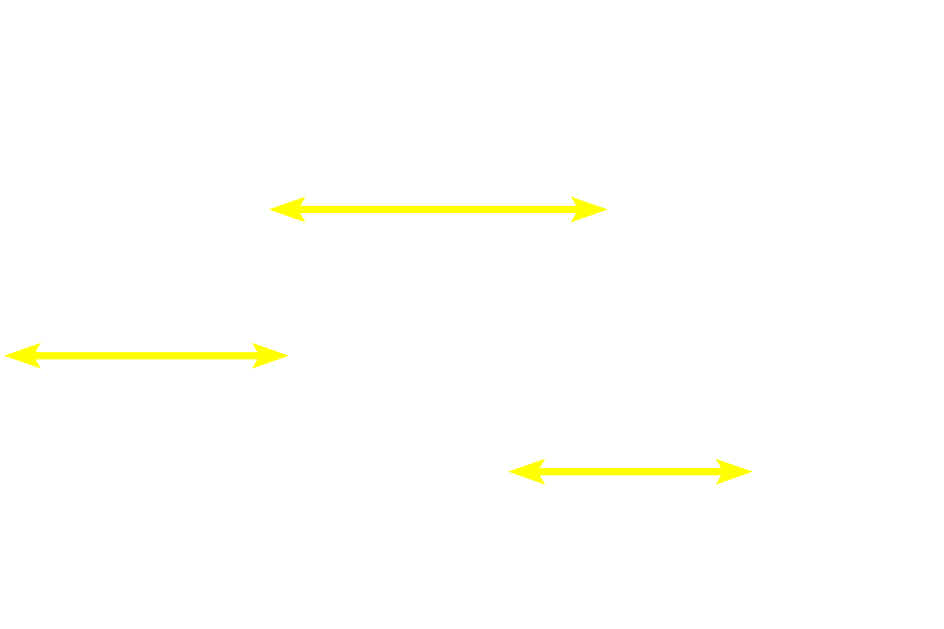 Fundic glands <p>Bases of gastric glands in the fundic region of the stomach demonstrate several cell types.  1000x</p>
