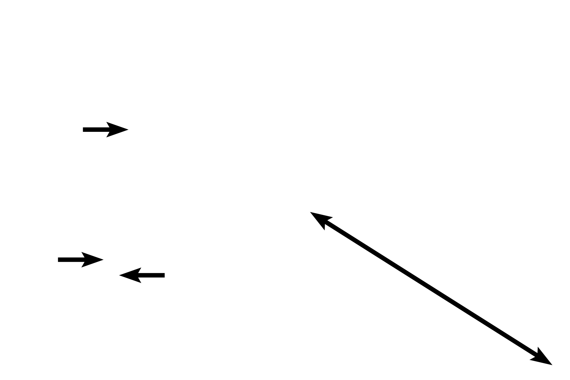 Lymph vessels <p>Tissue fluid percolating through lamina propria accumulates as lymph in blind-ending lymph capillaries, which anastomose to form larger lymph vessels.  Any antigen not inactivated by lymphoid tissue in the lamina propria would also be transported with tissue fluid into lymph vessels and carried to lymph nodes, the middle defense structures.  600x, 400x</p>
