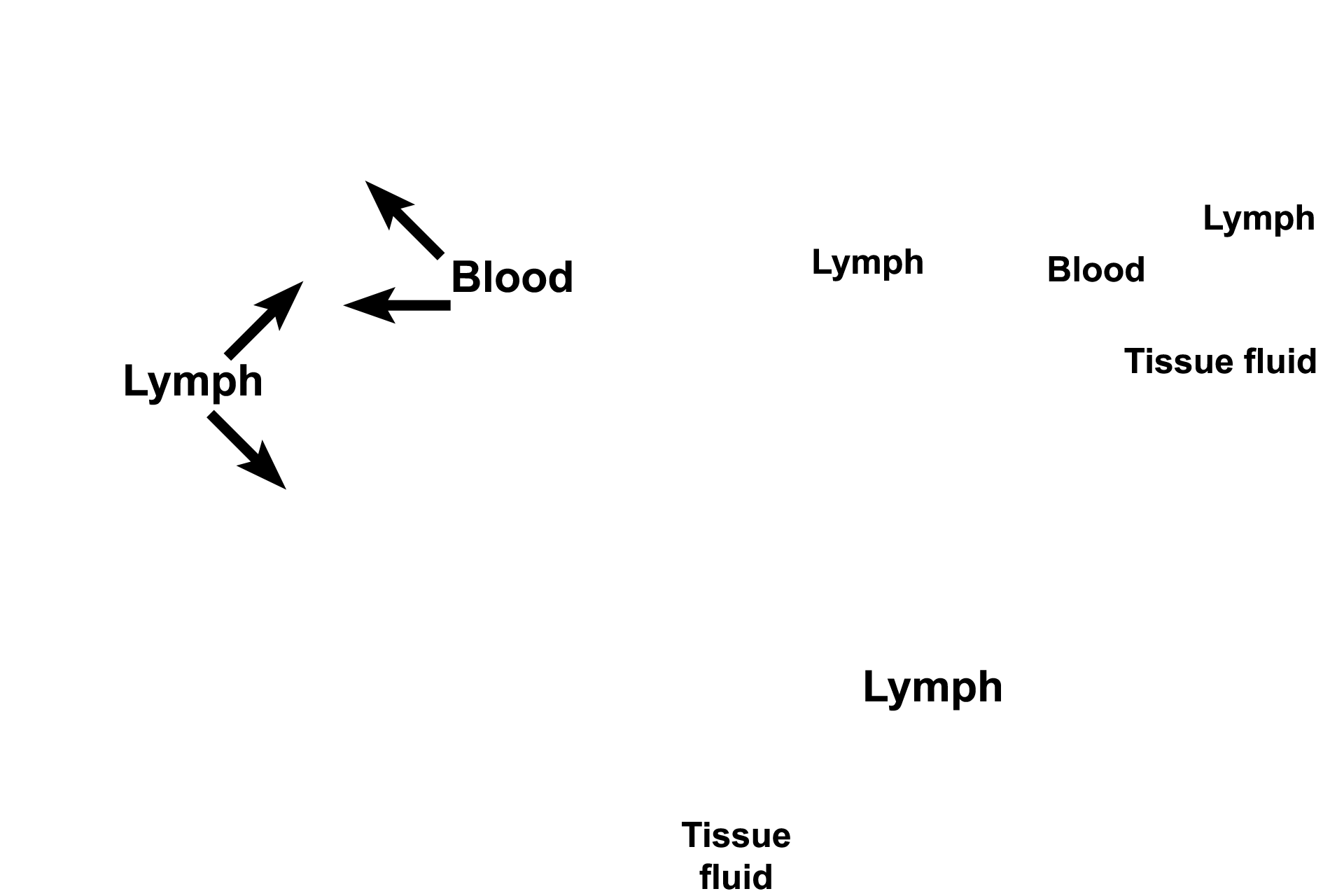 Body fluids > <p>Although the three fluids of the body are each confined to a specific body compartment, they are interrelated to each other and to the circulation of fluids through the body. Fluid, transferred from capillaries, percolates through connective tissue proper as tissue fluid.  After tissue fluid accumulates in lymph vessels, it is now called lymph.  Lymph vessels eventually empty into blood vessels containing the third fluid, blood.</p>
