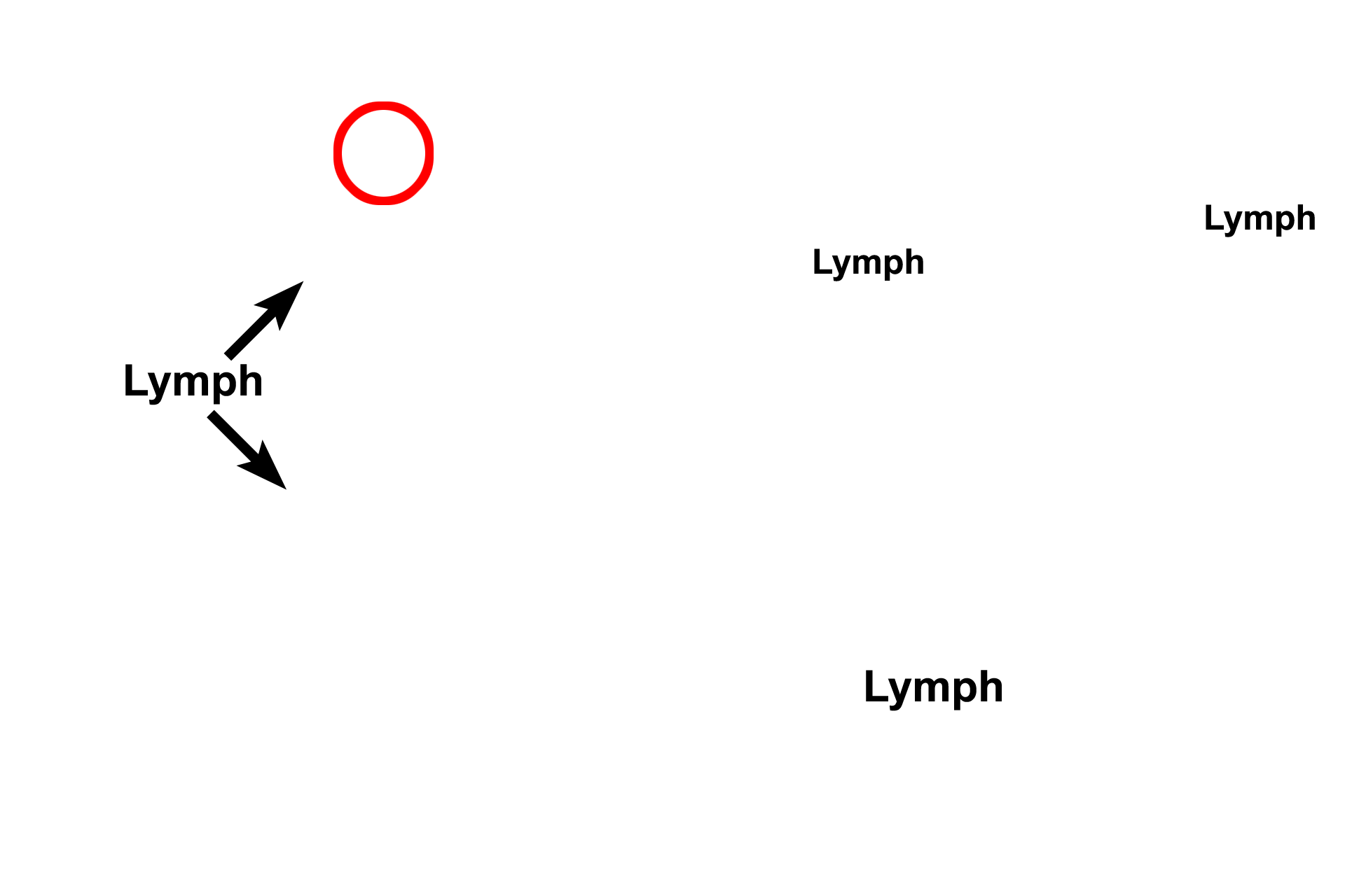  - Lymph > <p>Tissue fluid, any antigens it contains, and lymphocytes accumulate in lymph vessels and is called lymph.  Because they are located along lymphatic vessels, lymph nodes filter lymph and initiate an immune response to any antigen carried in that fluid. Lymph vessels join the blood vascular system (red circle) and are a major conduit for the return of tissue fluid to the blood.</p>
