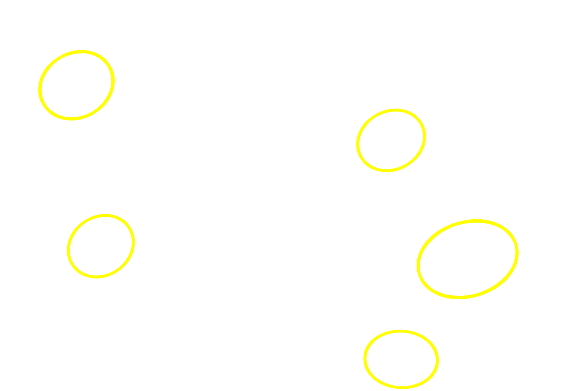 Lymphoid nodules <p>After leaving the white pulp, a central arteriole subdivides to form smaller arterioles and capillaries that eventually supply splenic sinuses in red pulp.  The capillaries may open directly into the splenic sinuses (closed circulation) or indirectly by opening into splenic cords (open circulation).  In the human an open circulation is thought to predominate.  100x</p>
