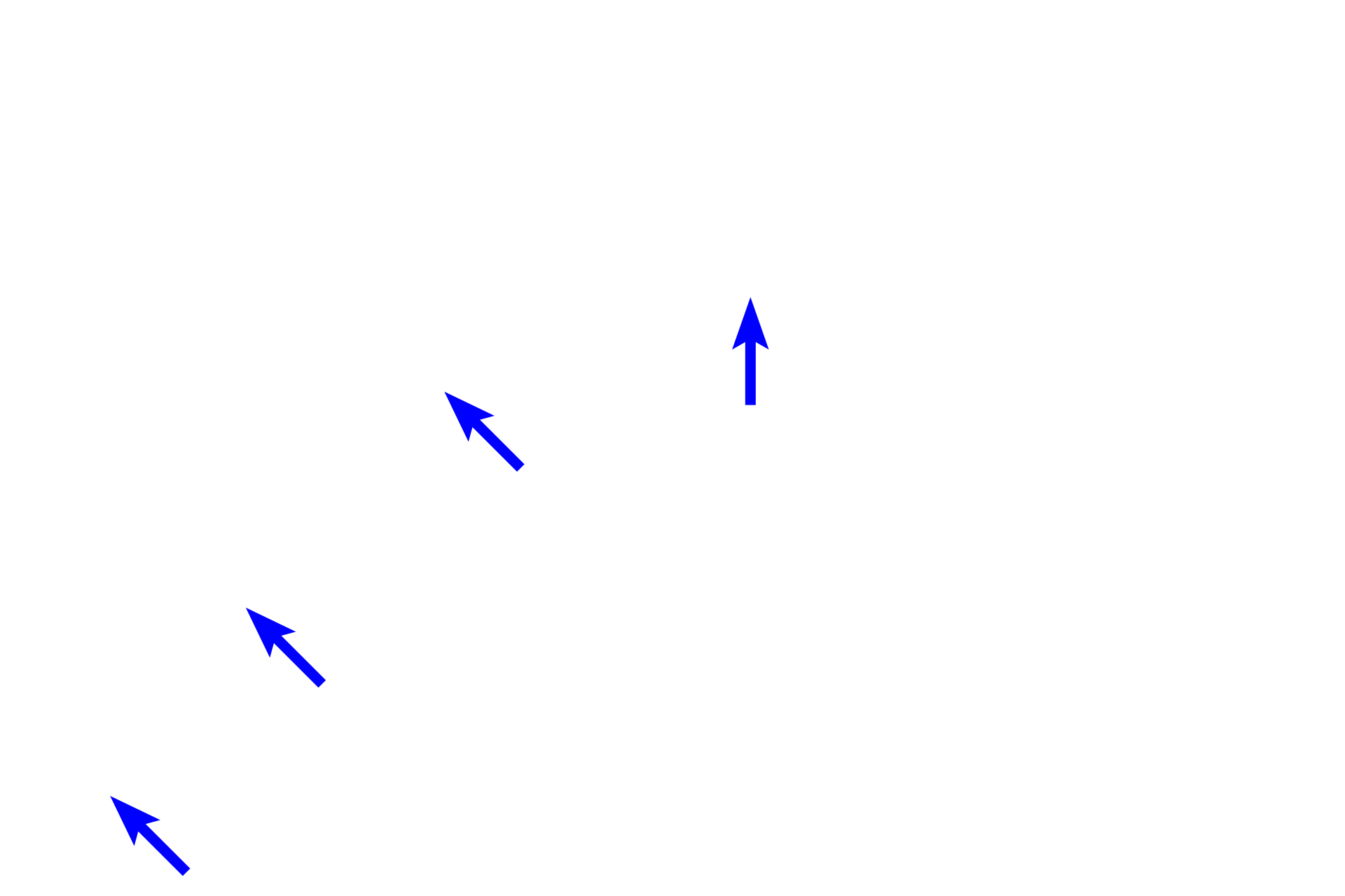  - Lens epithelium > <p>Lens epithelial cells form a simple cuboidal layer on the anterior surface of the lens. As they approach the equator of the lens, these cells form the fibers that constitute the bulk of the lens. Formation of lens fibers continues throughout life, but production slows with increasing age.</p>
