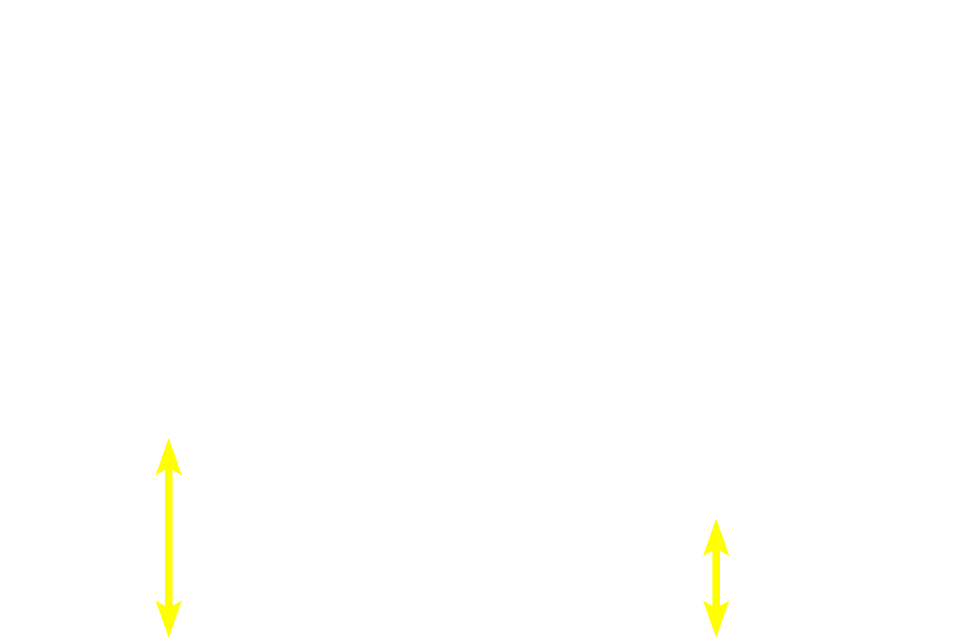 Sclera <p>At the fovea, bipolar and ganglion cells and their processes are shifted peripherally, leaving only cones at the central area, the foveola. This displacement allows for an unimpeded light path to the foveola.  The foveola perceives less than one degree of arc over the entire visual field and, thus, minute movements of the eyeball (saccades) are necessary to maintain this foveal resolution on objects of interest.</p>
