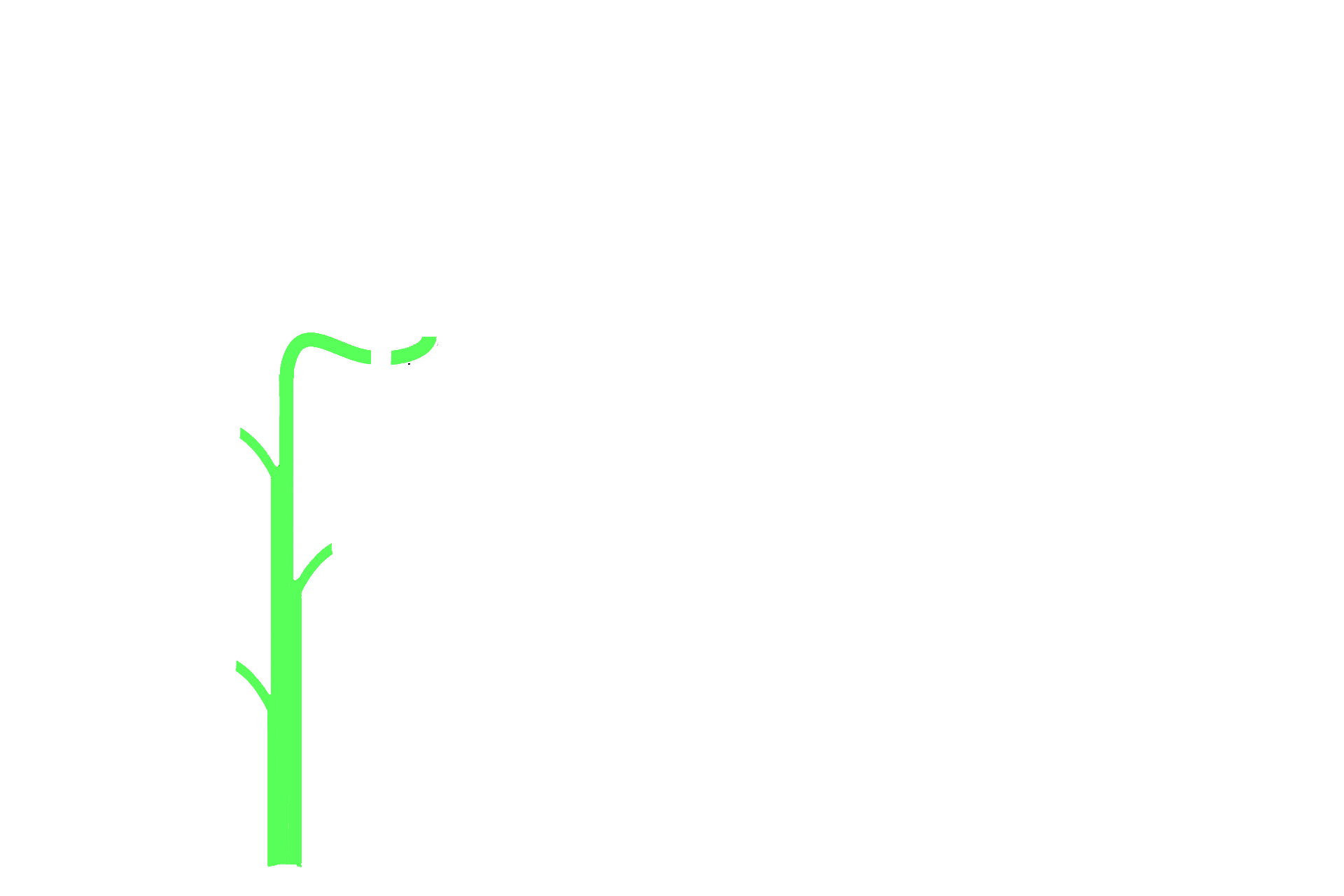 Collecting passageways > <p>Urine passes out of the nephron into a series of collecting tubules, which consist of connecting tubules, collecting ducts and papillary ducts.</p>
