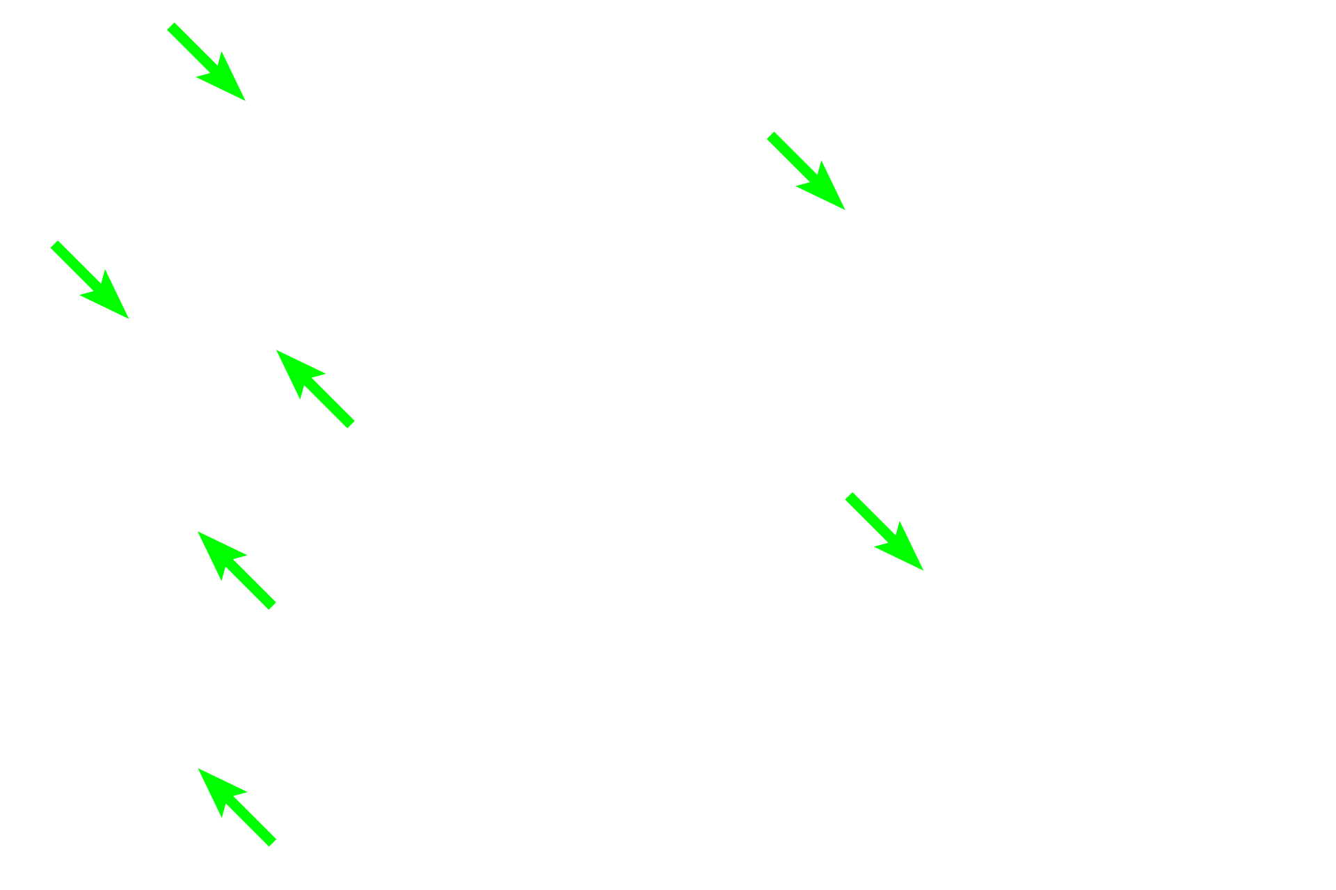 Ascending thick limbs > <p>Thick ascending limbs of the loop of Henle (distal straight tubules) have a lower epithelium than do proximal tubules and lack a brush border.  Additionally, the nuclei are spaced irregularly around the lumen, into which they frequently bulge.</p>
