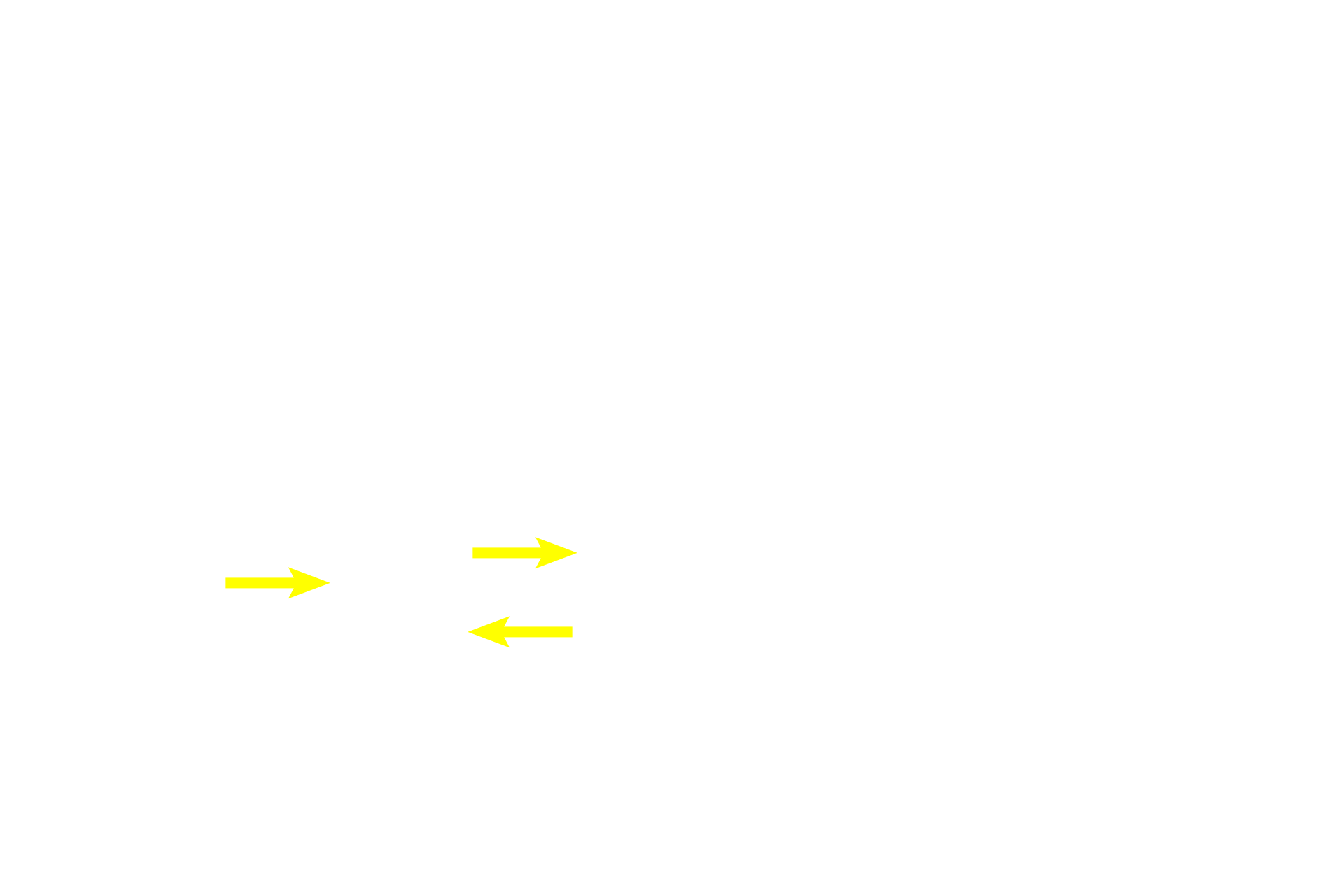 Bone > <p>Bony matrix is deposited on the calcified cartilage spicules by the endosteum lining the interior of the developing bone. Because it stains pink/red, bone is easy to differentiate from the blue, calcified cartilage spicules on which it is deposited.</p>
