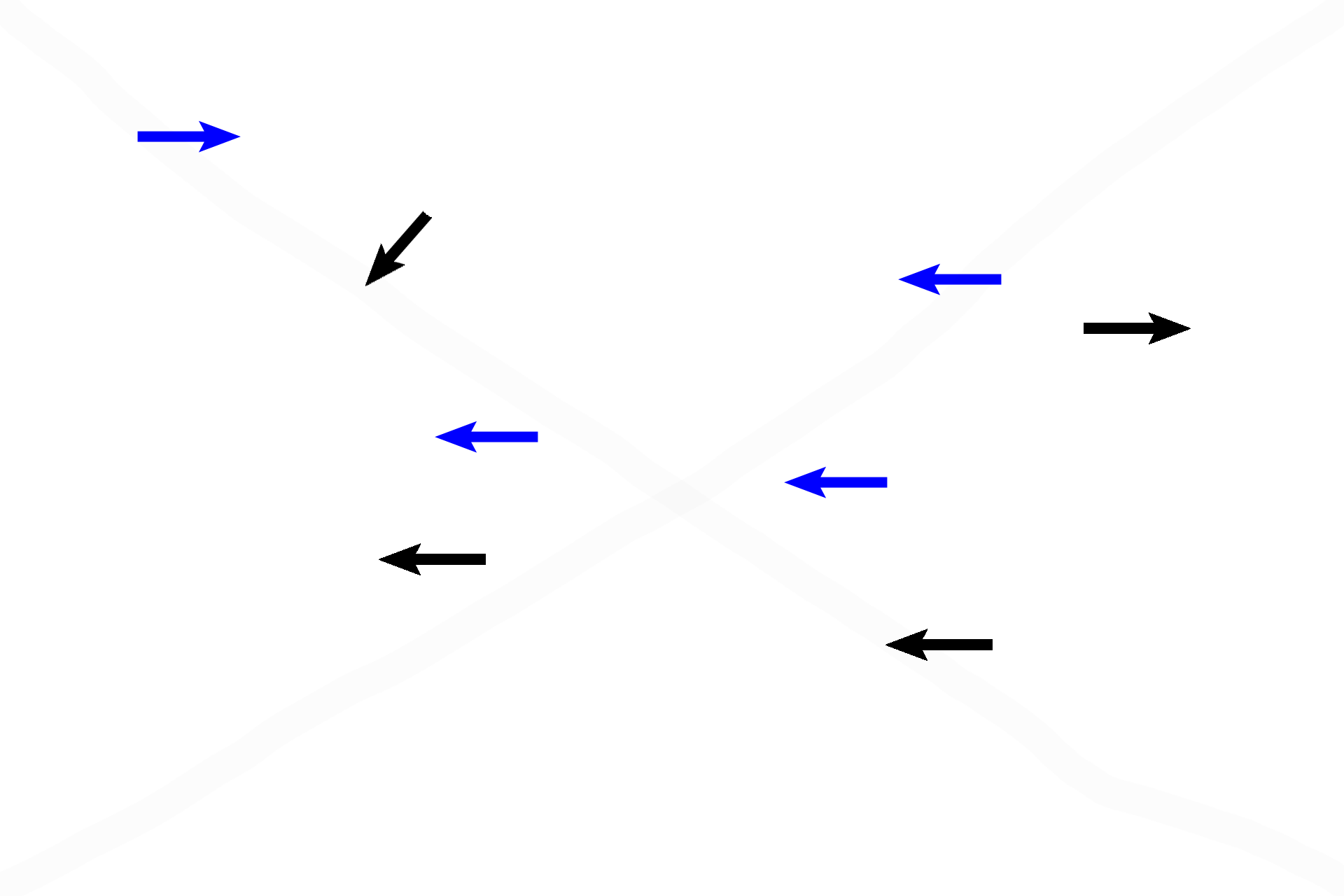 Spicules > <p>The blue-staining central cores of the spicules are composed of calcified cartilage (blue arrows) formed by the chondrocytes in the epiphyseal plate. These cores form a framework on which woven bone (black arrows) can be deposited by osteoblasts.</p>
