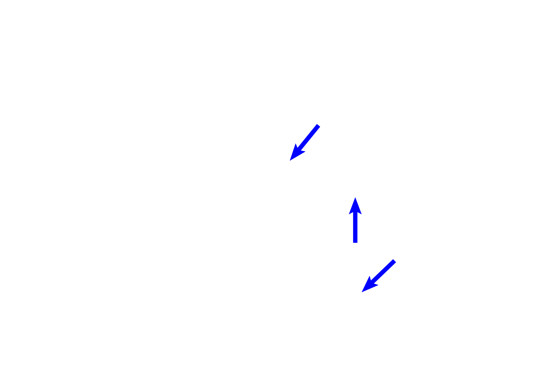 Hyaline cartilage > <p>The epiphyses of the forming bones are composed of hyaline cartilage that has not yet been replaced by bone. Later, secondary centers of ossification will form in these areas and this cartilage will also be replaced by bone.</p>
