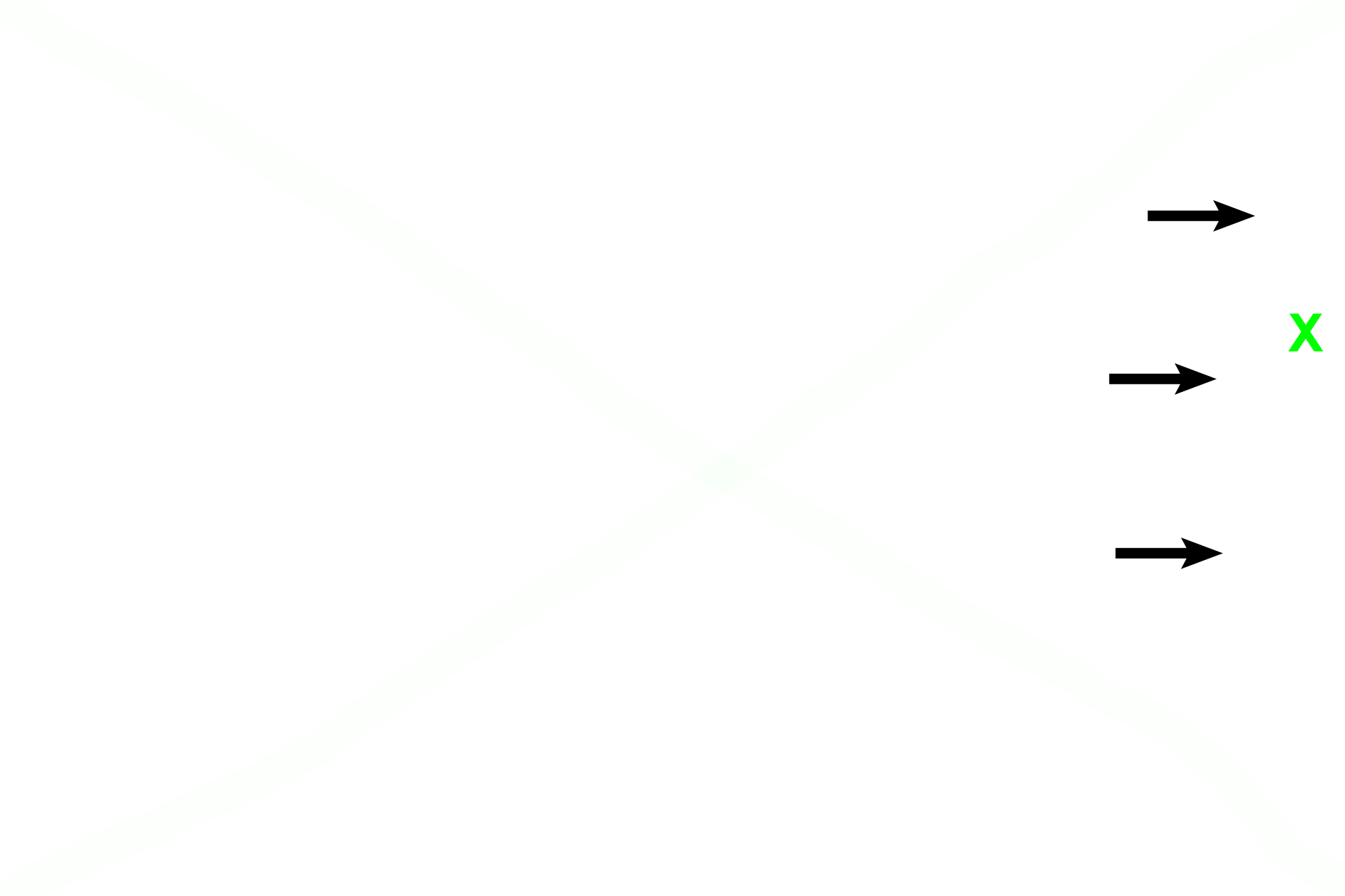 Endosteum > <p>Although present on any inner surface of bone, the lining cells (arrows) cannot be readily differentiated from the adjacent red marrow (X).</p>
